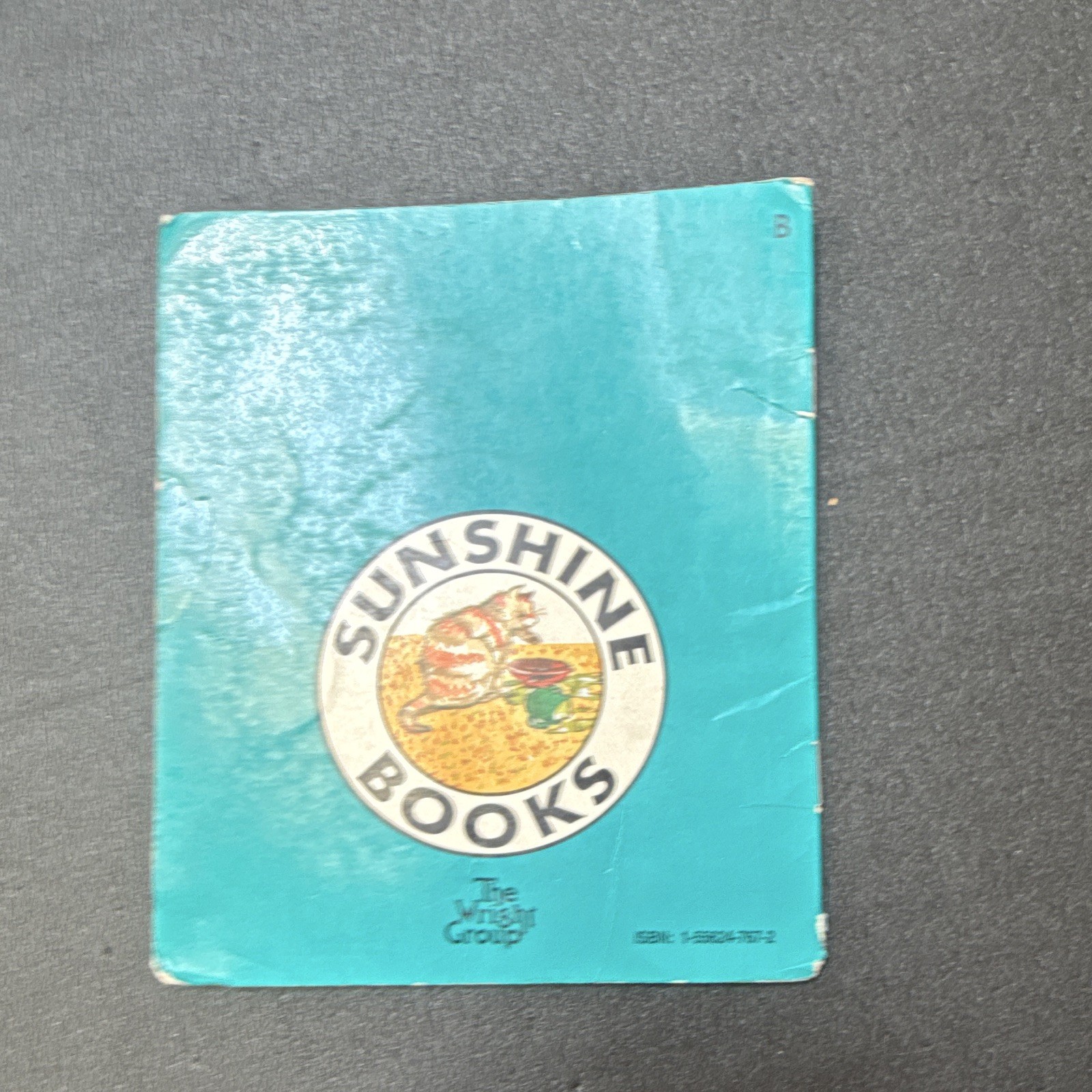 Sunshine Books Little Brother Joy Cowley Paperback Picture Book Ages 4-8