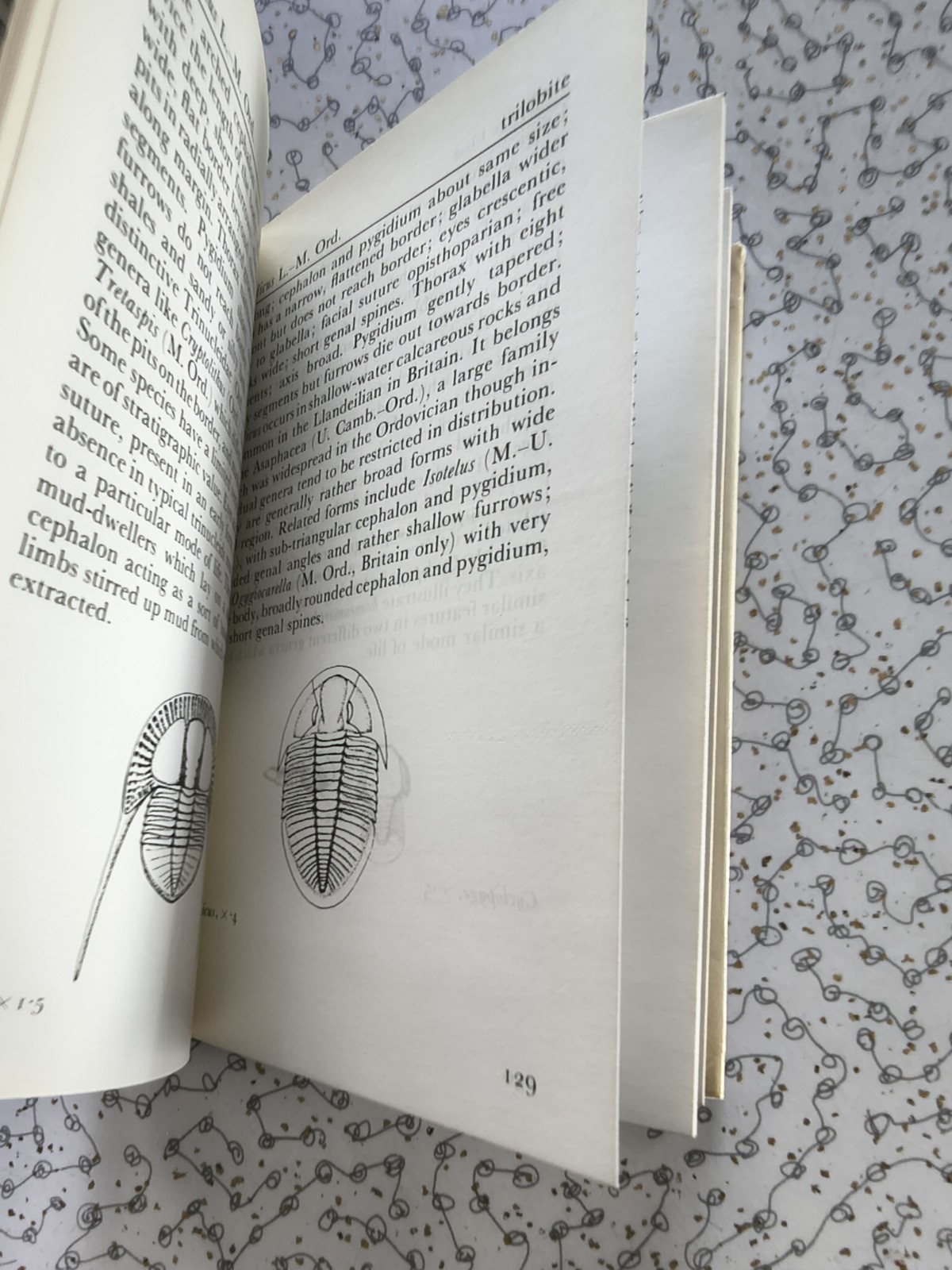 The Observer’s Book of Fossils by Rhona M. Black 1977 First Edition Hardback