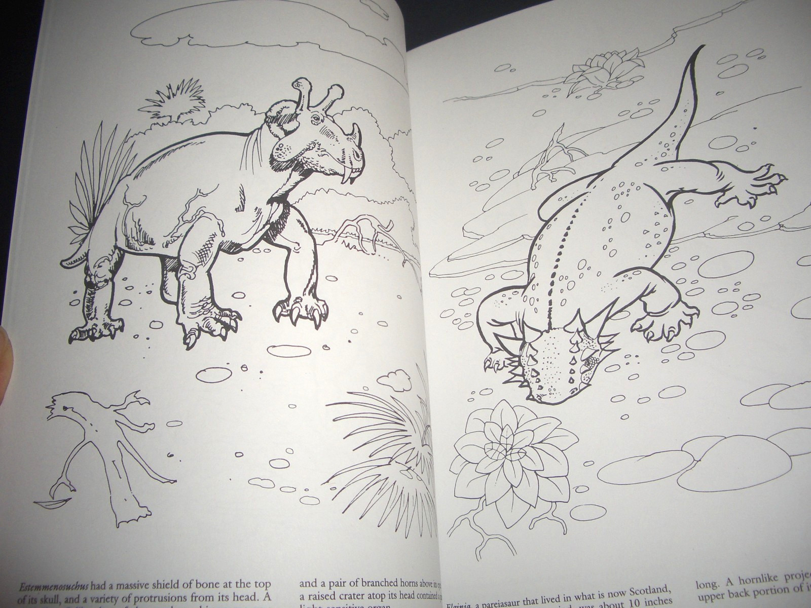 Dinosaurs + Prehistoric Creatures Gigantic Coloring & Learning Book-by DOVER