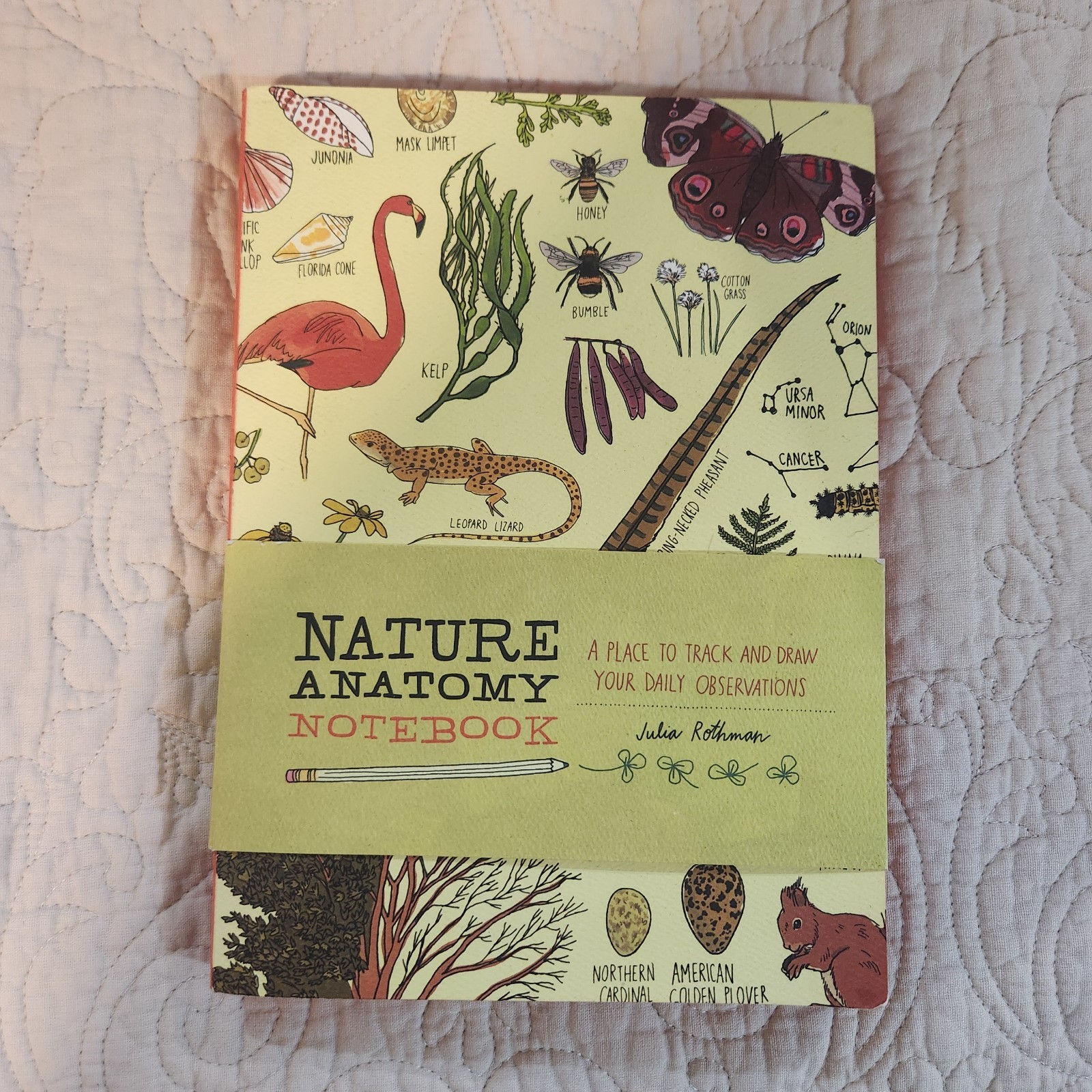 Nature Anatomy, Julia Rothman, Textbook and Notebook, Brandon New!!