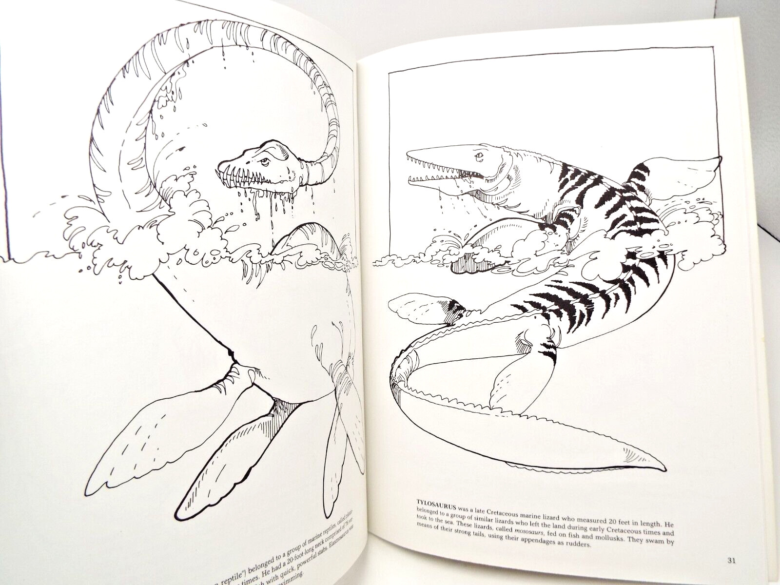 The Dinosaur Coloring Book by Anthony Rao (PB) & 2 Dinosaur Sticker Sets Vintage