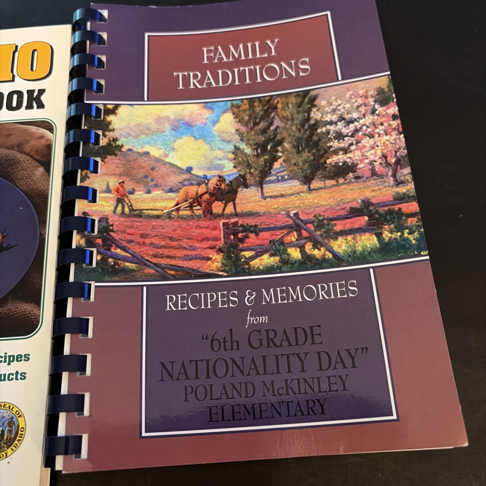 Lot Of 2 Vintage Cookbooks