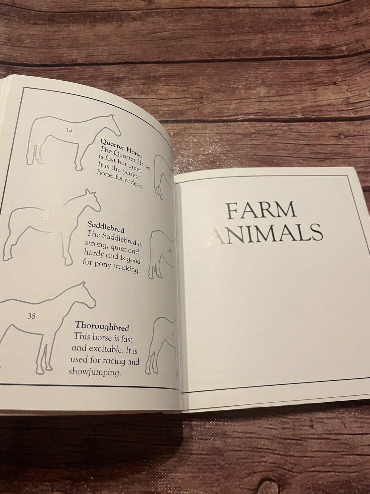 Sticker Fun Book of Animals Funfax SEE NOTES