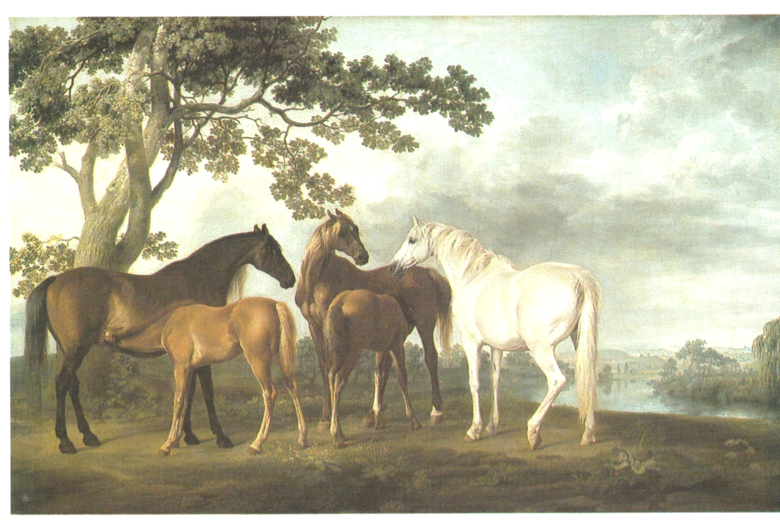 HORSE PAINTINGS: A Book of 30 Postcards By Pavilion Books, Famous Artists