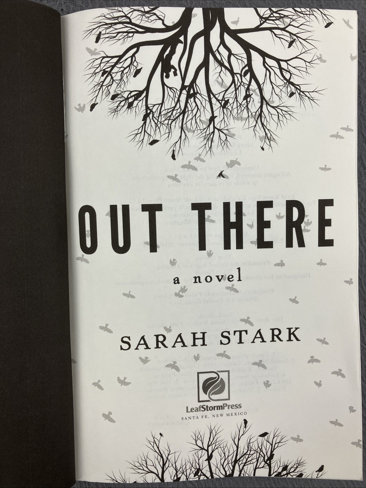 Out There: a Novel Book (2014, Paperback) Sarah Stark * SIGNED COPY