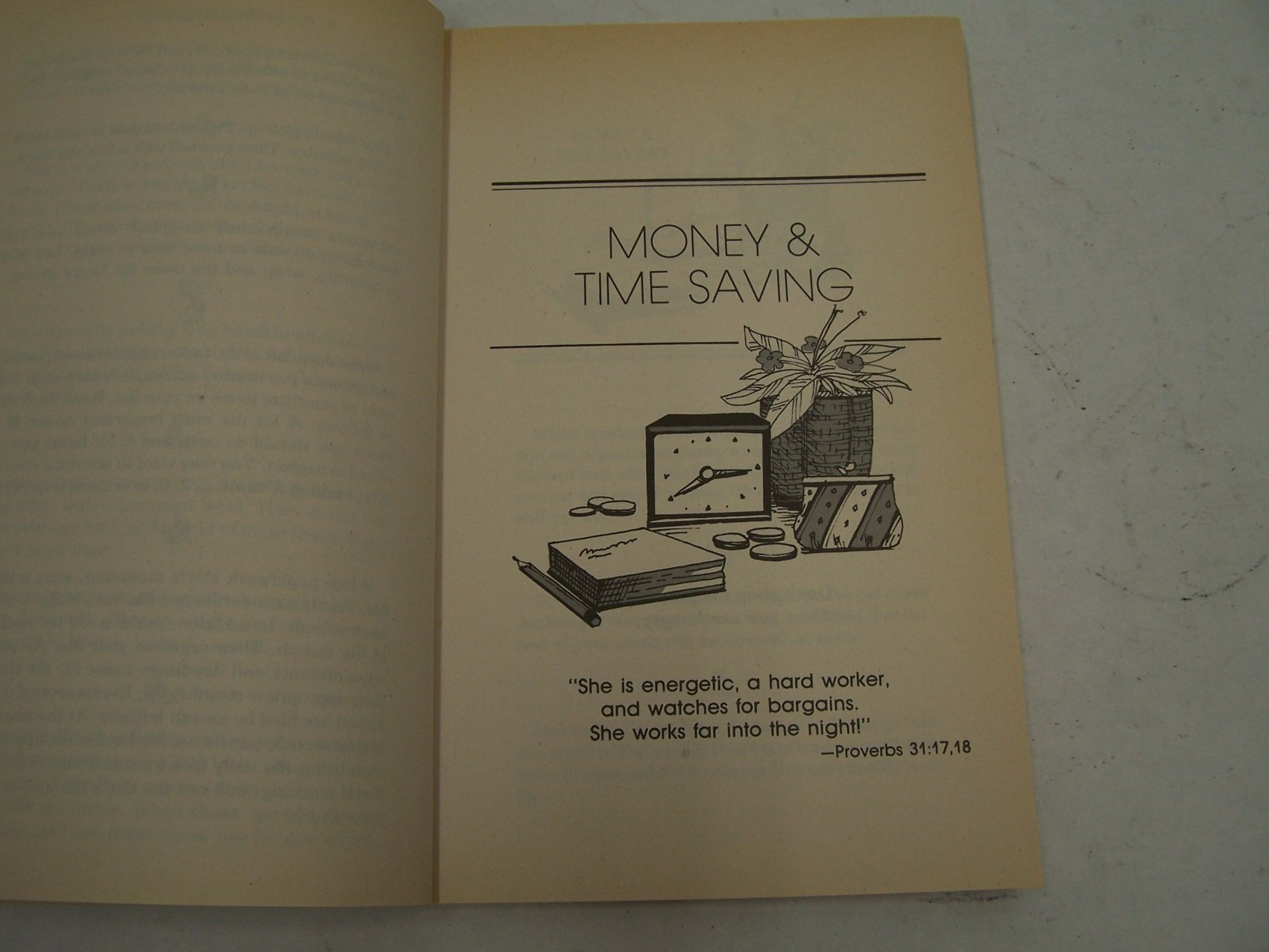 Emilie’s Household Hints by Emilie Barnes 1984 & Selected Tips from Heloise