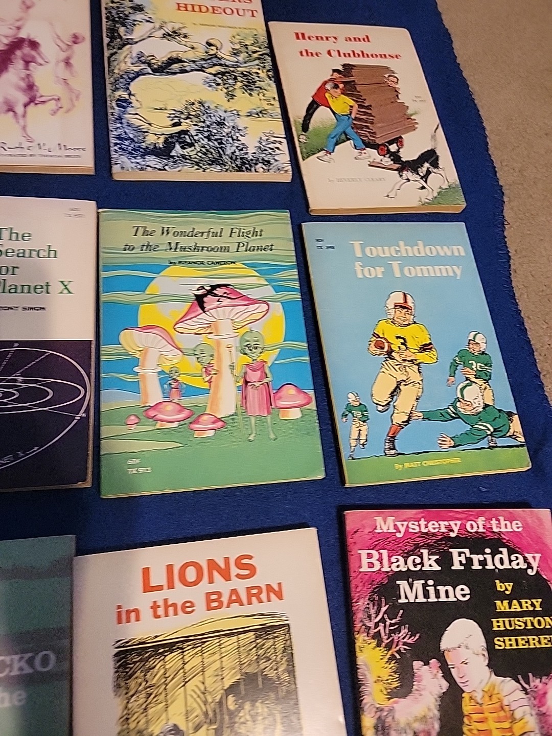 Vintage Young Readers Press ,scholastic And Others Pb Books