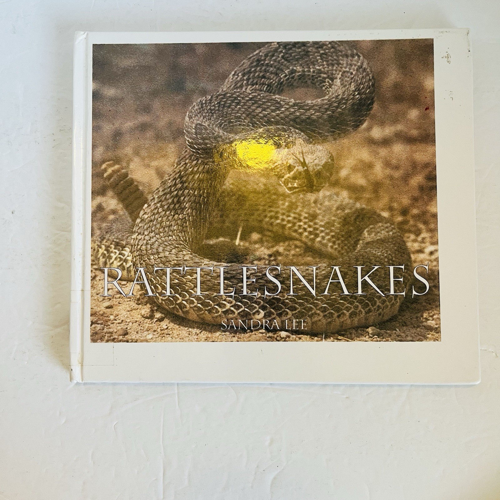 Lot 5 Reptile Amphibian Science Books Snake Turtle STEM Classroom Library