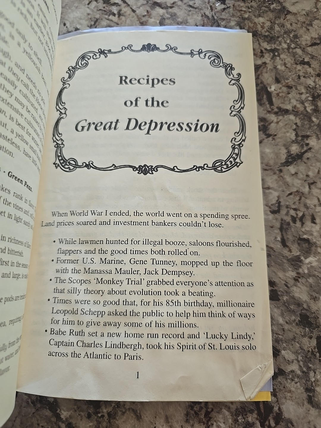 American Cookery by Amelia Simmons 2005, PB, 116 Pages ~ Recipes, Cookbook
