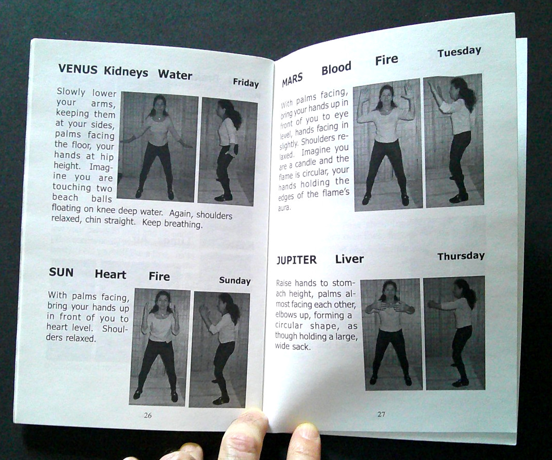 Breathing For Life by Ramona Maiolino (2000) Rare Chi Kung Tecnhique Booklet