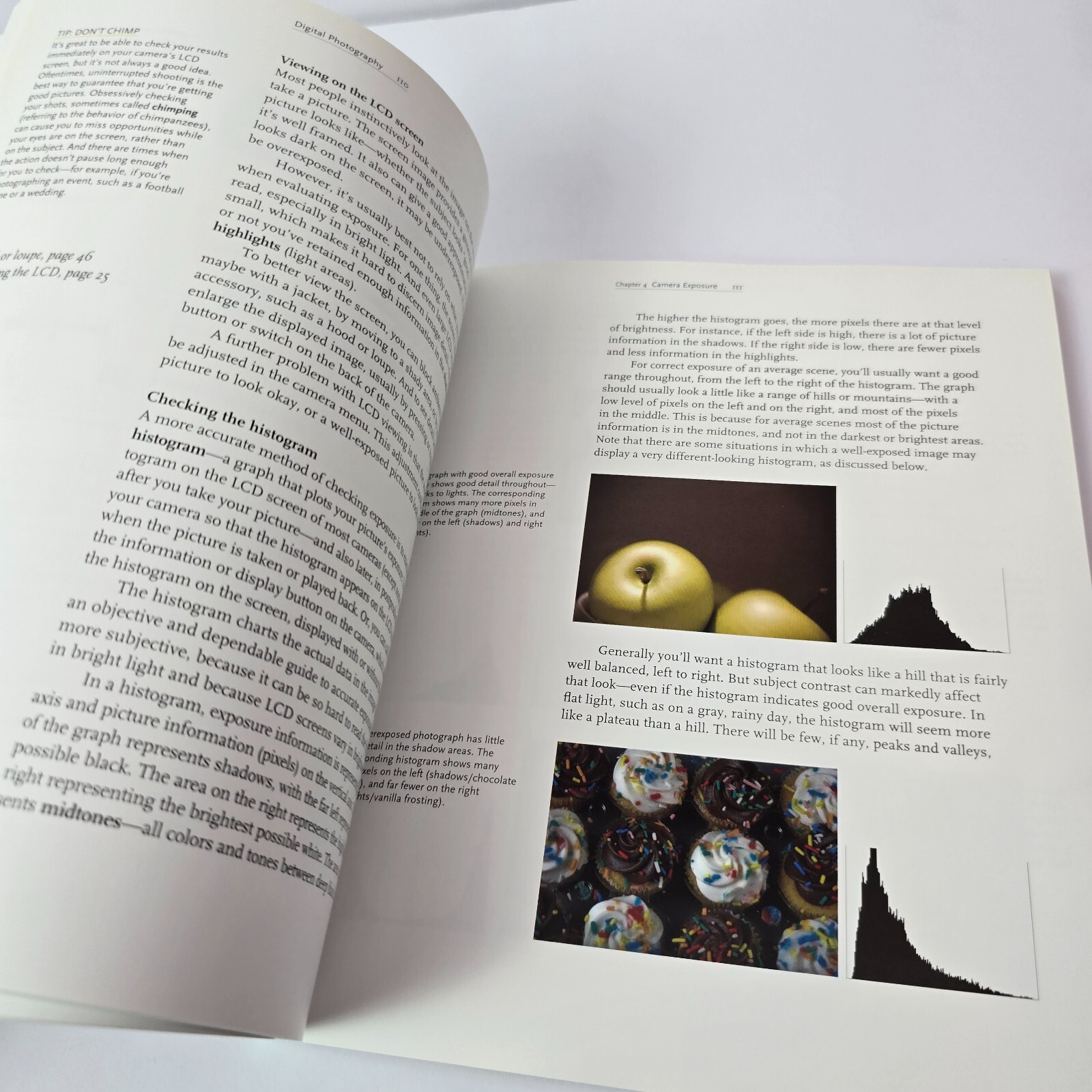 Digital Photography: A Basic Manual by Henry Horenstein