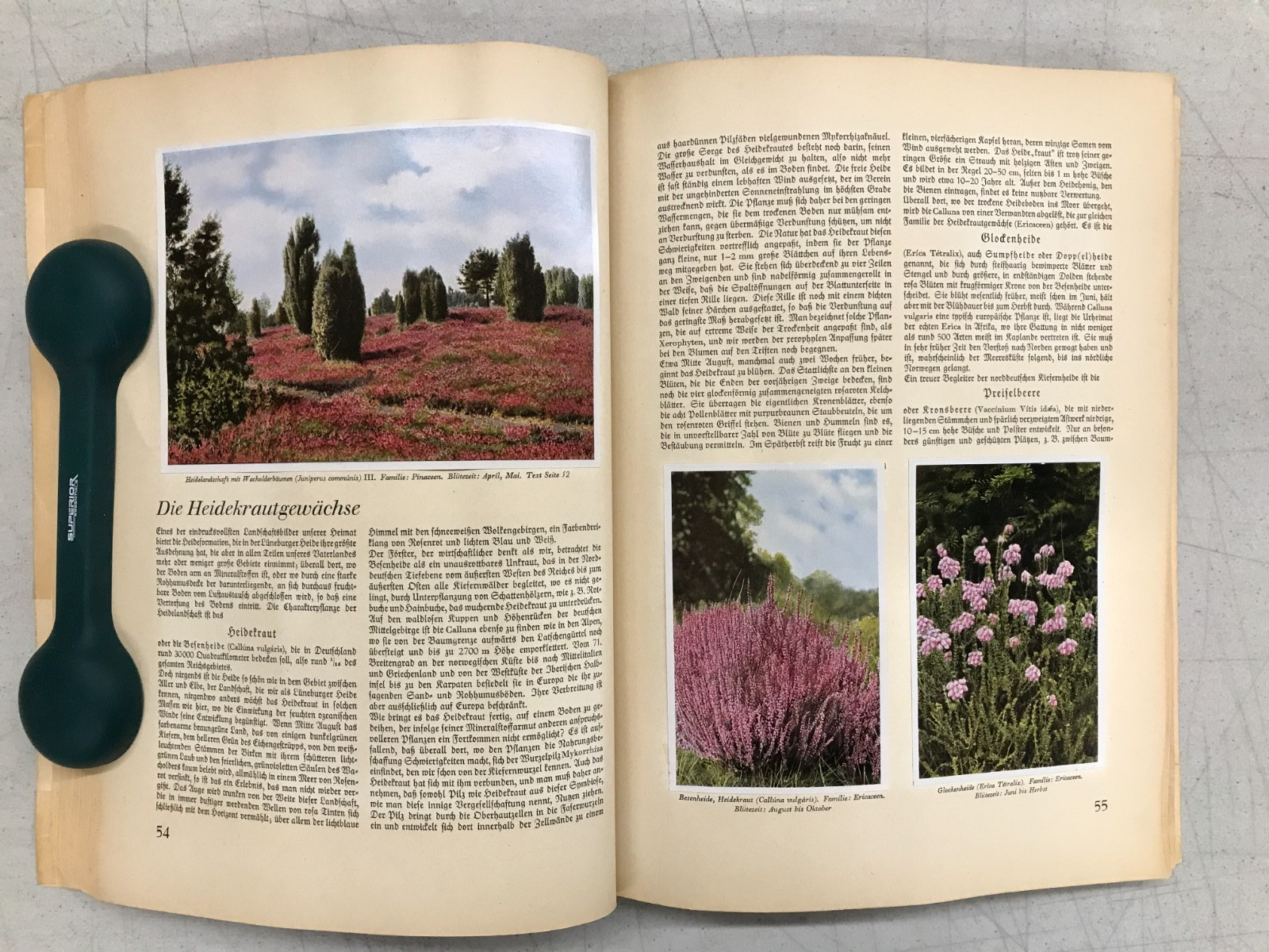 Aus Wald Und Flur – Two German Books 1937/1938 Plants and Animals, Set of 2 E-77