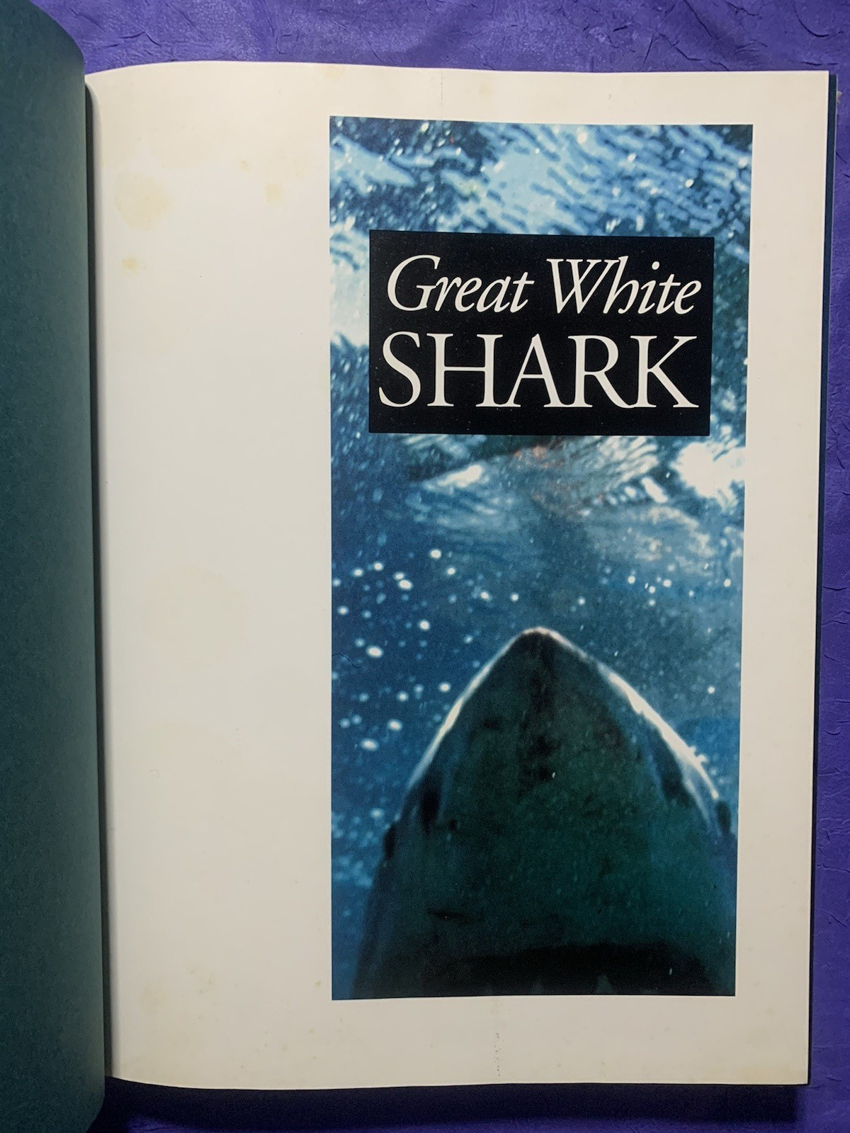 GREAT WHITE SHARK By Richard Ellis & John E. Mccosker – Hardcover w/ Dust Jacket