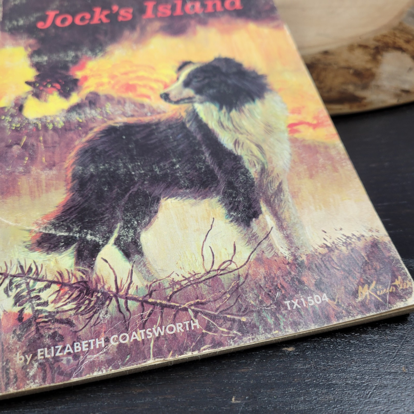 Jock’s Island By Elizabeth Coatsworth TX 1504 Scholastic SBS 1963 Vintage PB