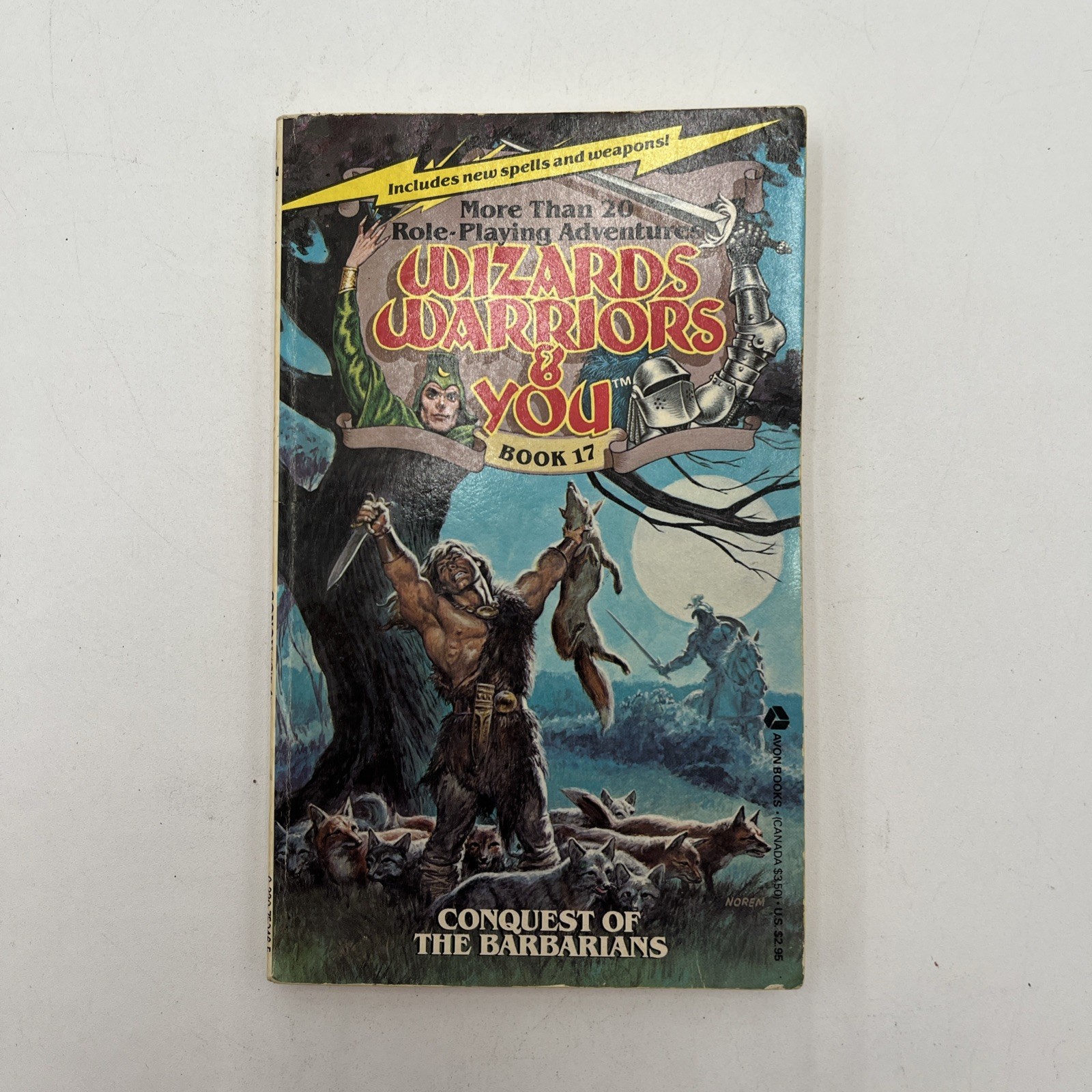 Wizards Warriors & You Book 17 Adventure Paperback Conquest Of The Barbarians
