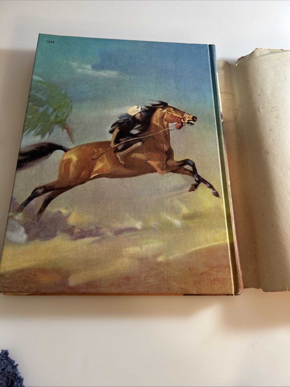 “King of the Wind” by Marguerite Henry, 1964 abq
