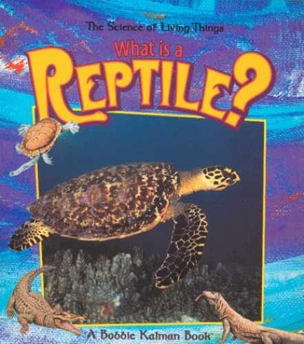 What Is a Reptile? (The Science of – Paperback, by Kalman Bobbie – Acceptable n