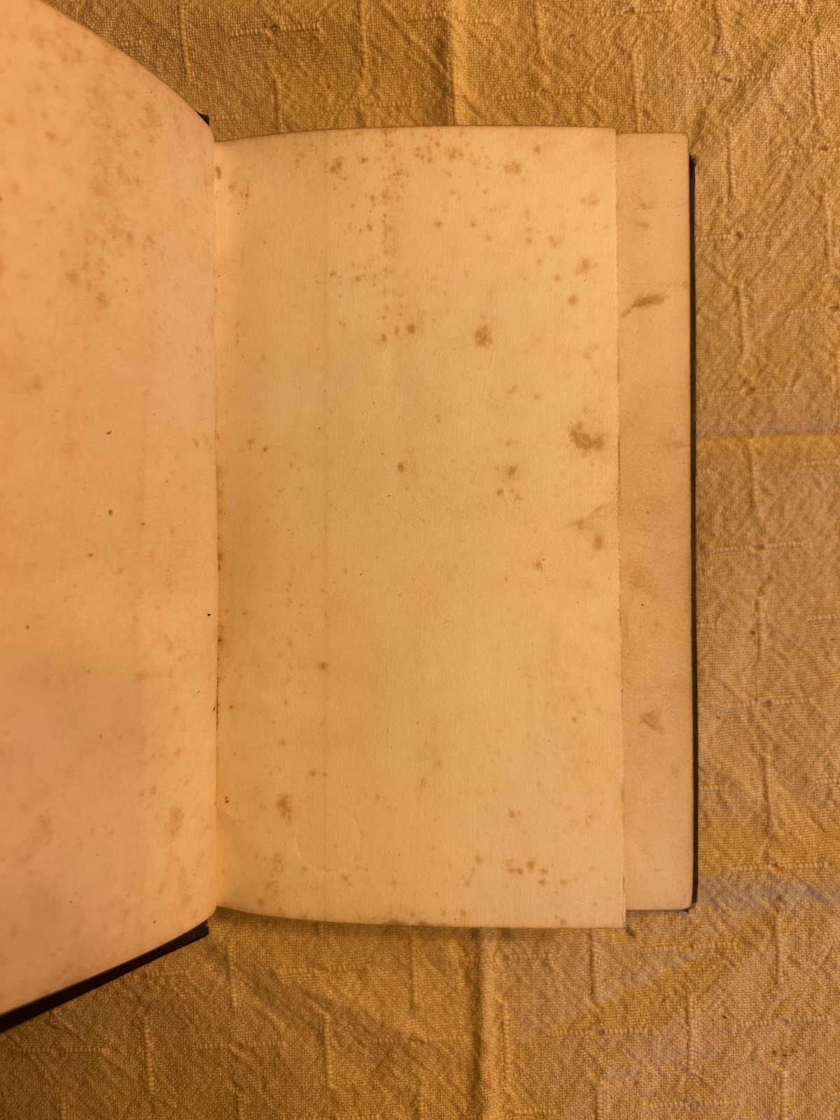 The Artist and Tradesman’s Companion – M. Lafayette Byrn – Good Condition