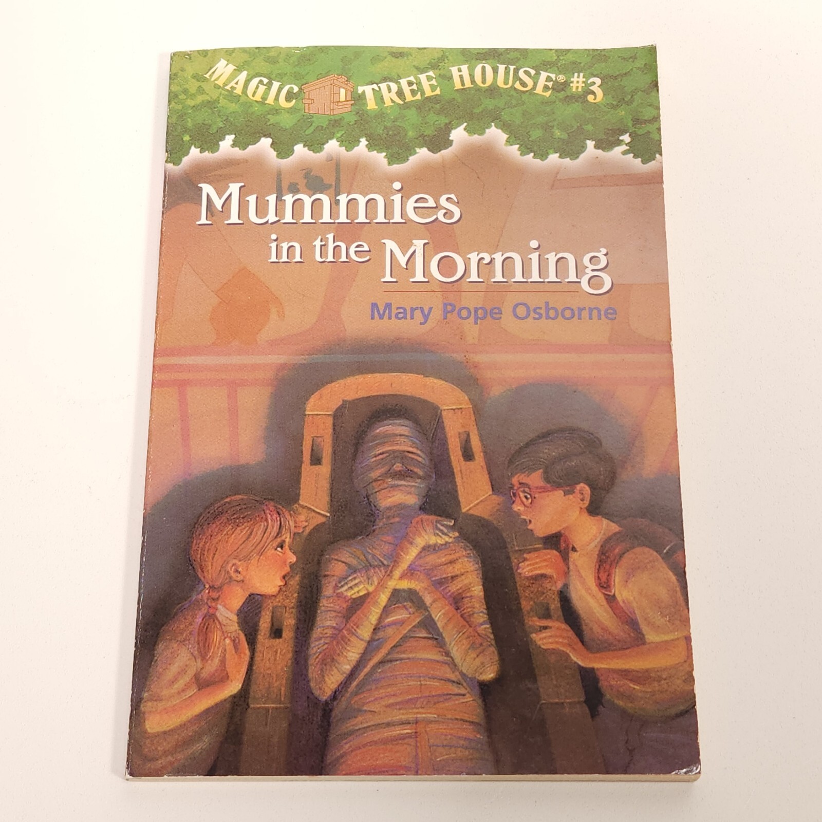 Magic Tree House Lot 9 Chapter Books Mary Pope Osborne 2 3 8 9 10 13 16 19 23