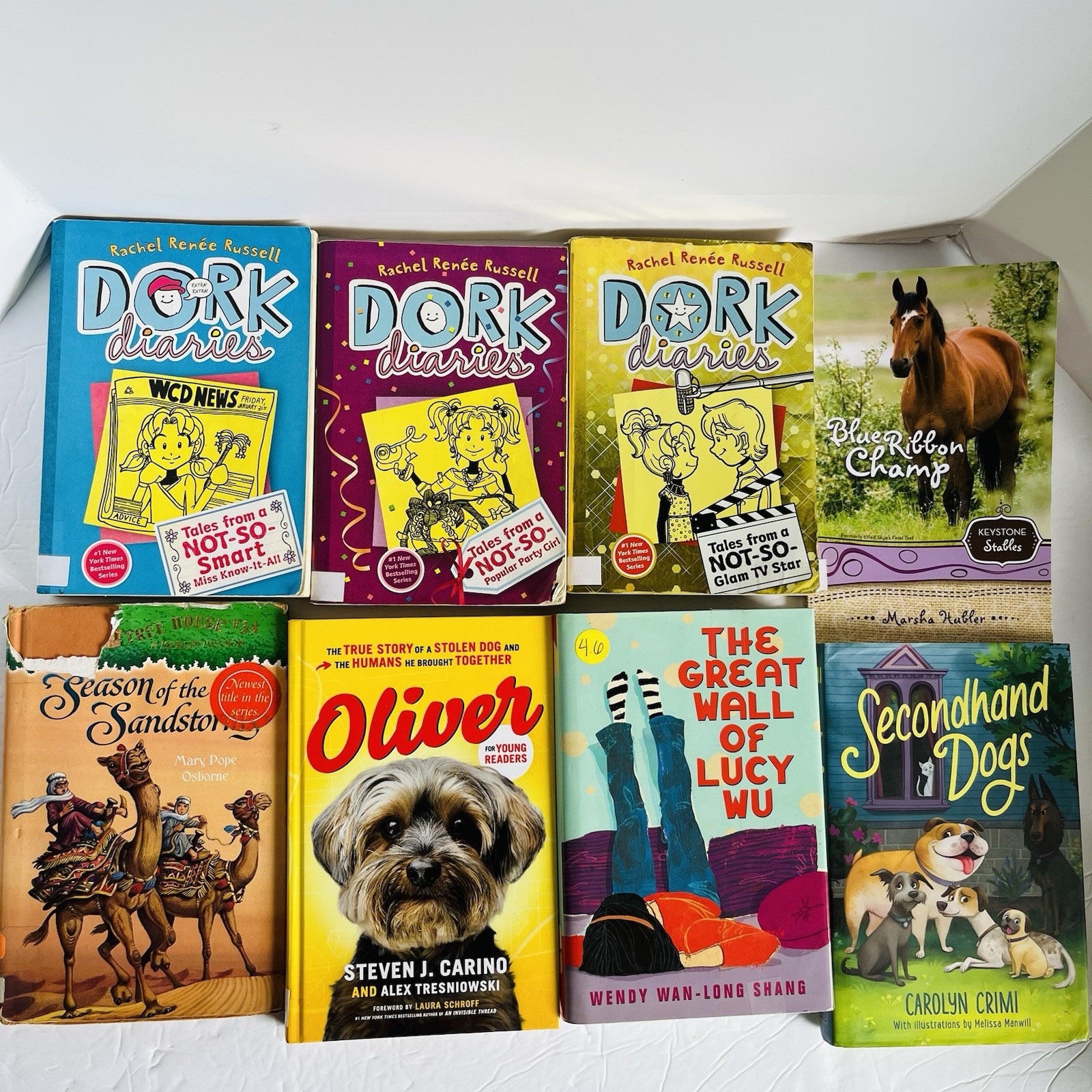 Lot of 10 Random 4th grade Children’s Kids Chapter Book Some series Elementary