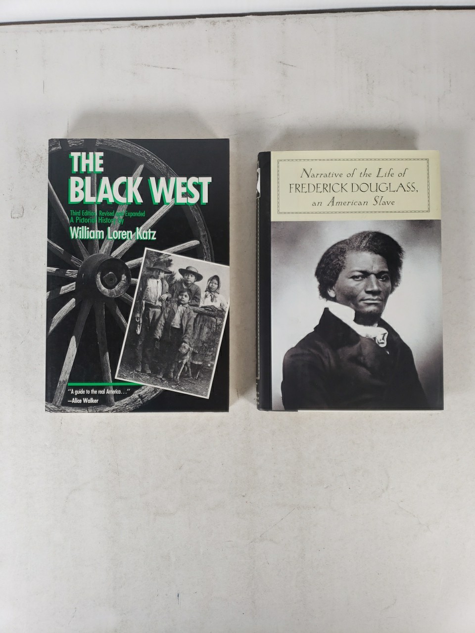 Black American History (8 Book Lot) Slavery, John Brown, Migrating West, Novel