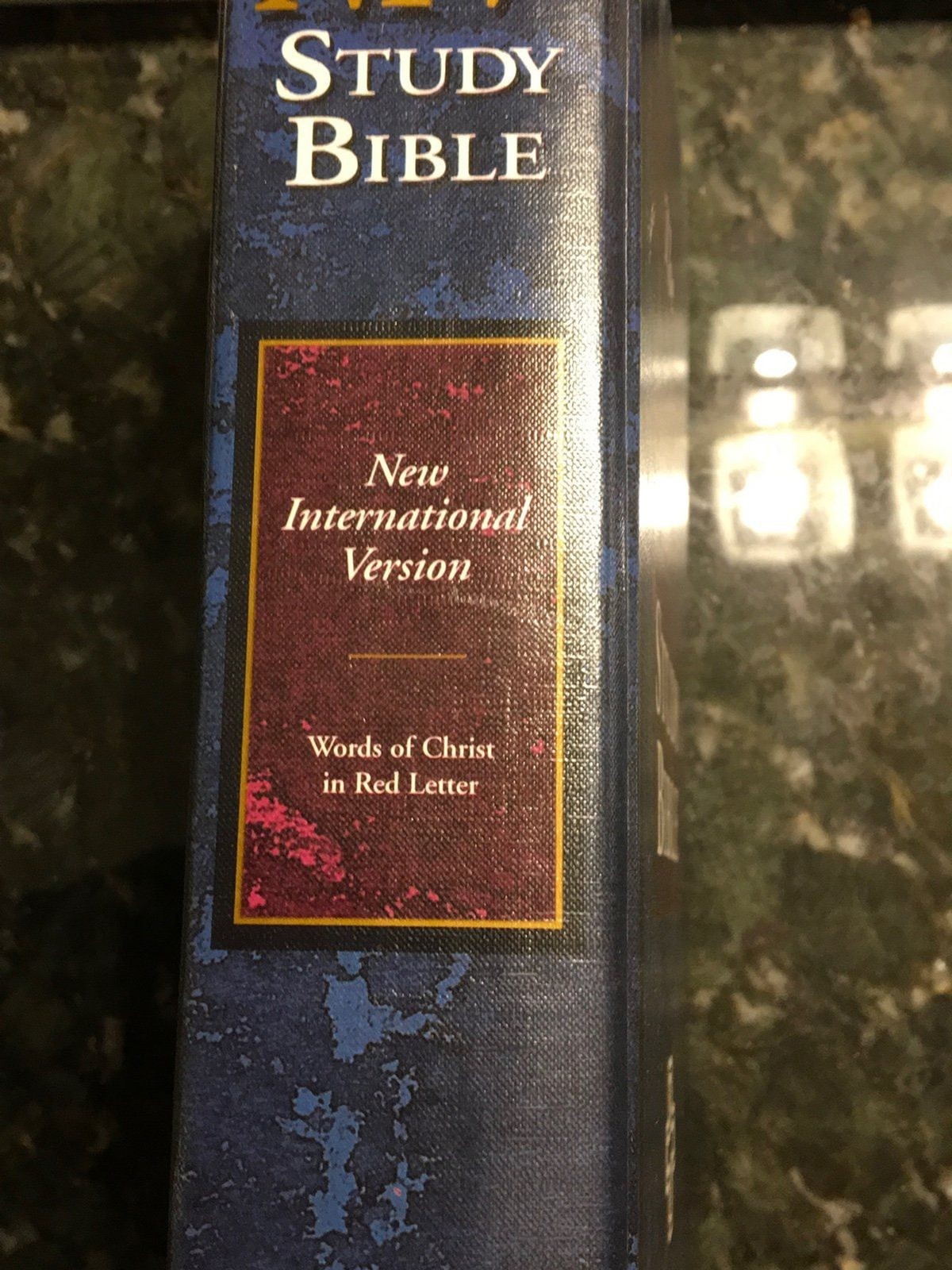NIV Study Bible