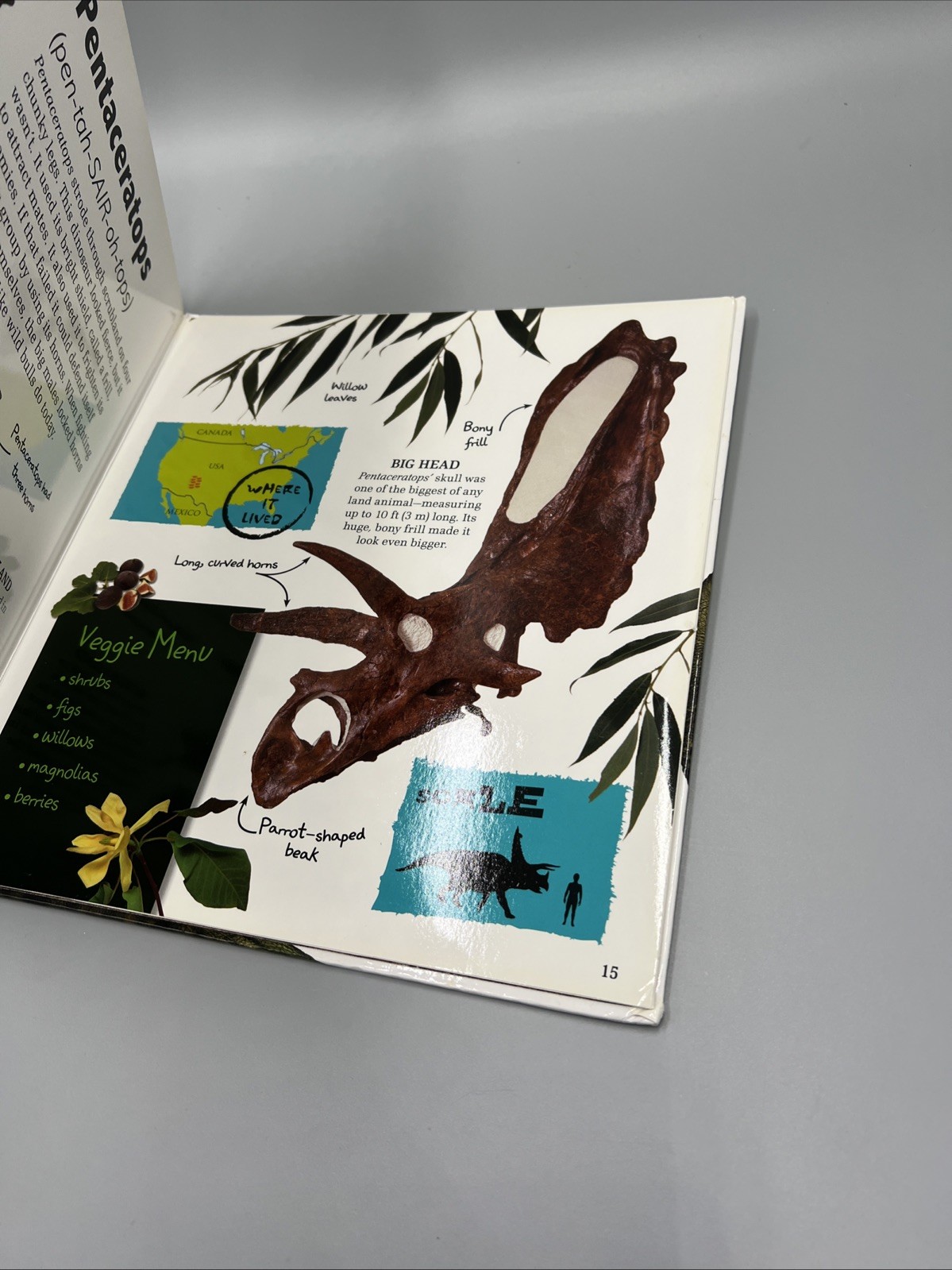 Amazing Giant Dinosaurs by DK (2012, Hardcover), Kids Thick Page Book