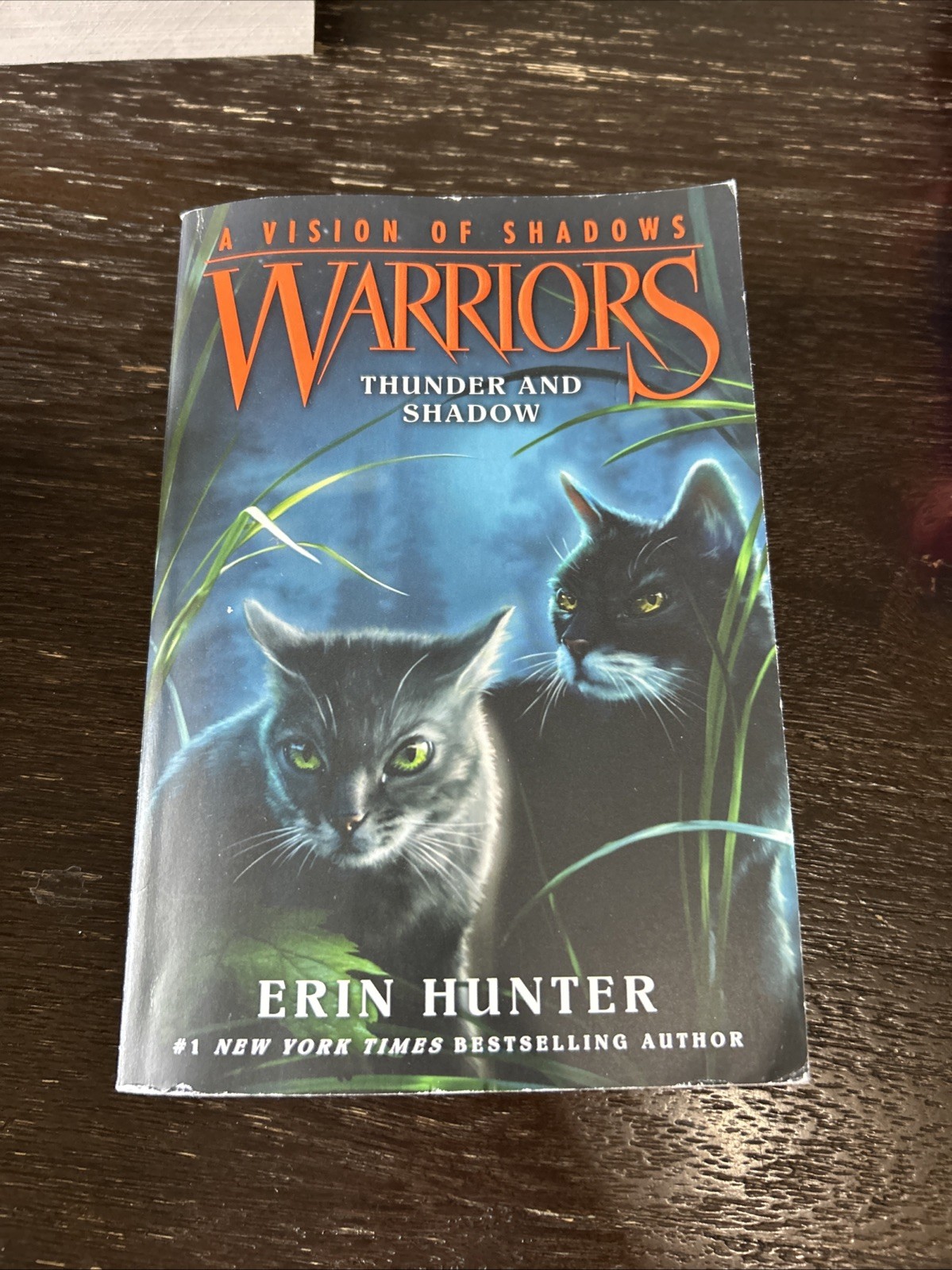 Warriors Cat Book Lot By Erin Hunter + Warrior Cat Bag Bluestar’s Prophecy