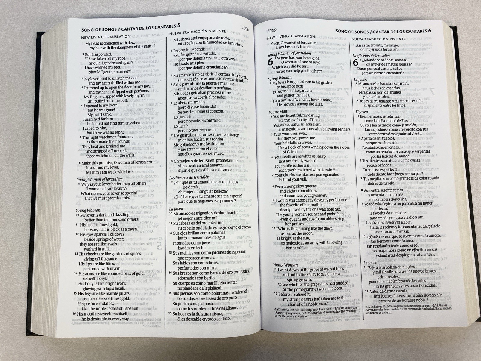 Holy Bible / Santa Biblia English-Spanish Bilingual Bilingue Bible NLT/NTV