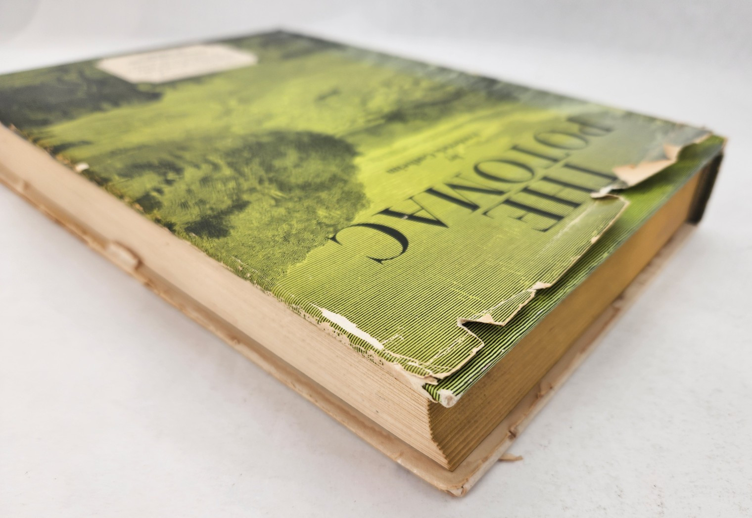 The Potomac By Frederick Gutheim Revised Illustrated Edition 1968 HC/DJ