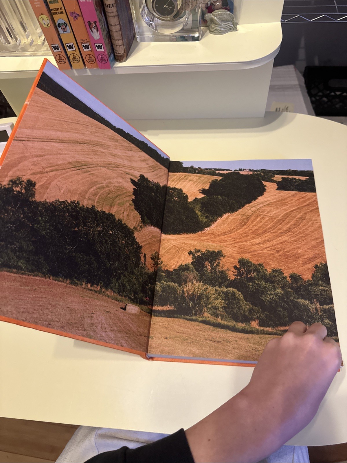 SANTONI MERAVIGLIA MAGAZINE BOOK INTERIOR DESIGN HC COLLECTIBLE TABLETOP BOOK 02