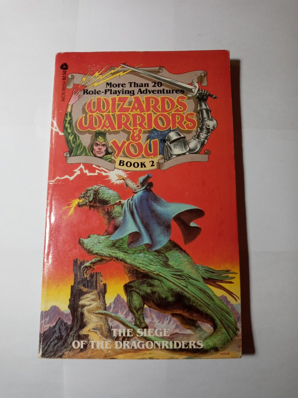 Wizards, Warriors & You -Book 2 – The Siege of the Dragonriders