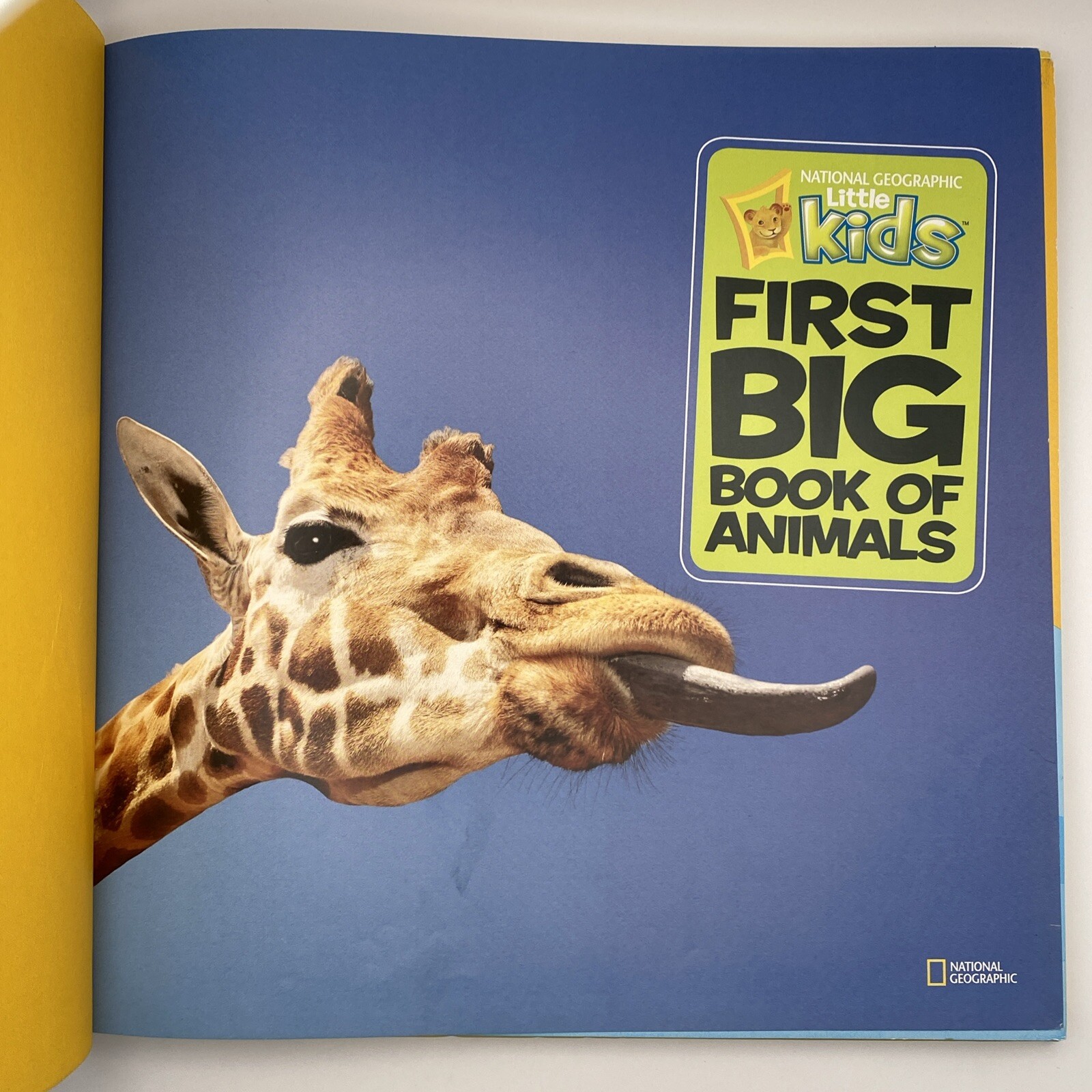 National Geographic Little Kids First Big Book of Animals Catherine D. Hughes HC
