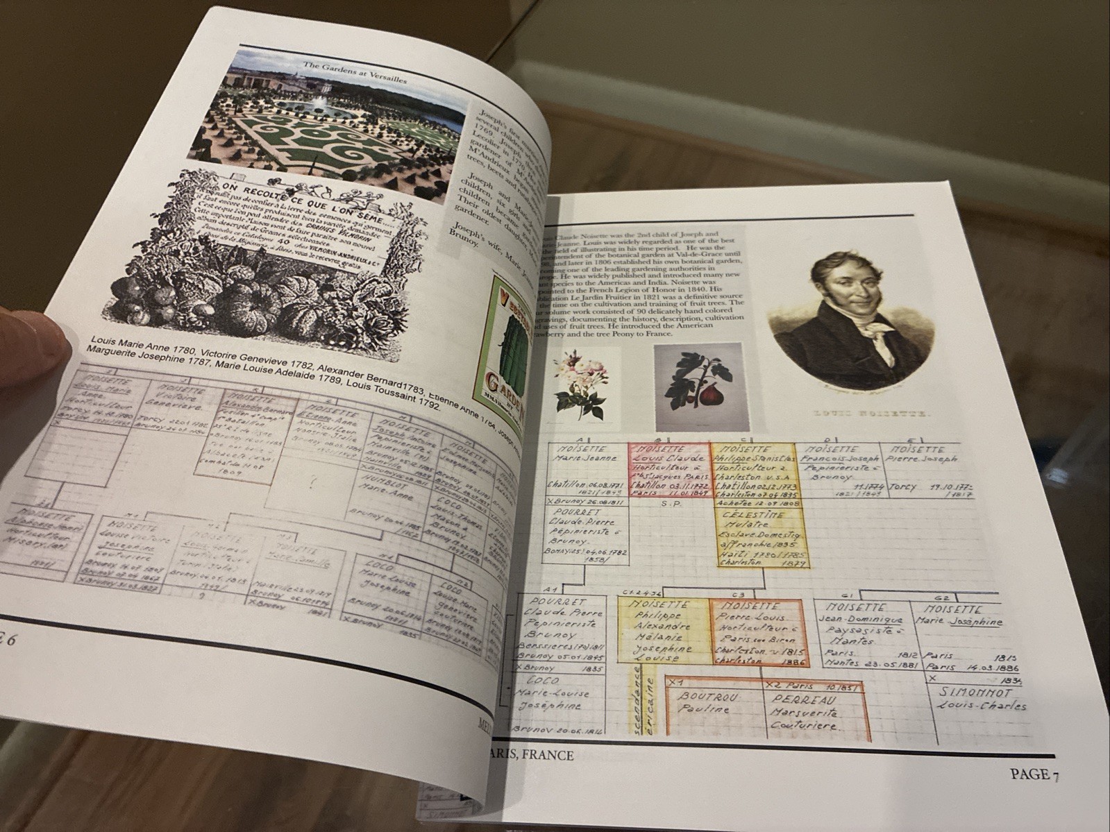 The Noisettes Since 1710 Family Genealogy Book – Margaret Noisette – 86 Pages