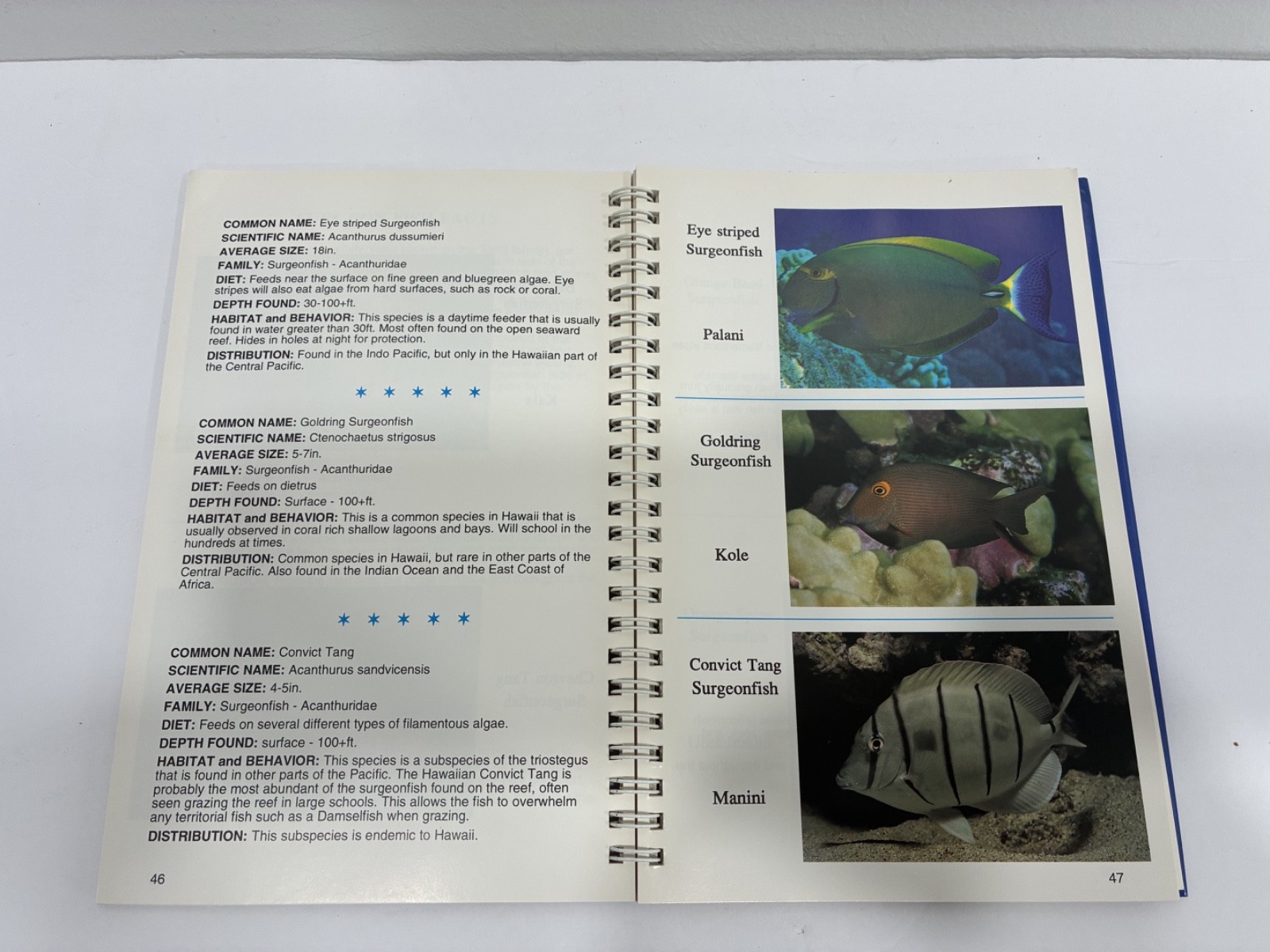 Coral Reef & Fishes 2 Books Field Guide and Identification