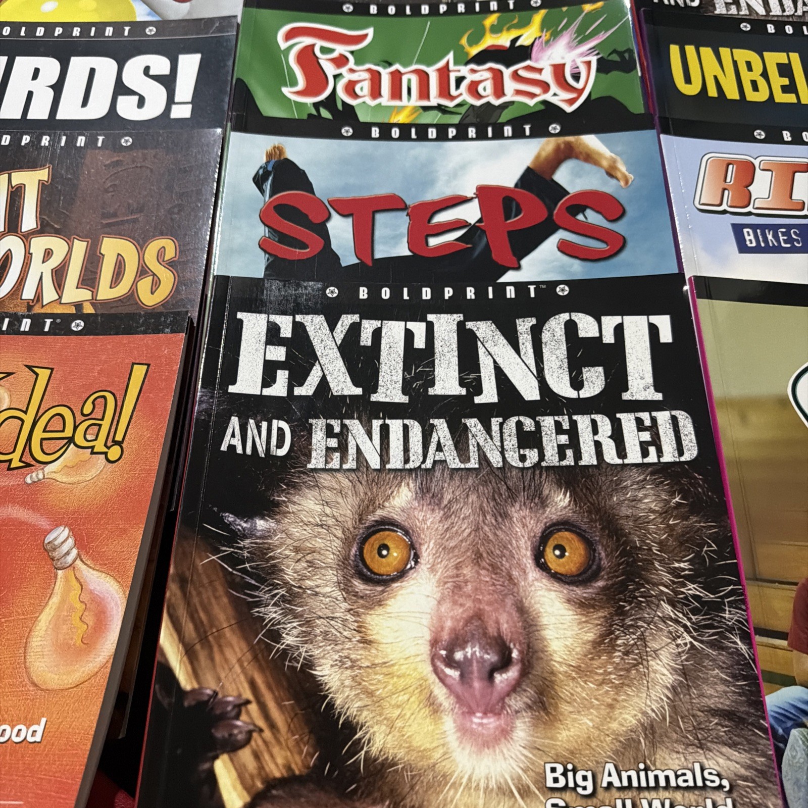 Lot of 21 Boldprint Steck Vaughn Books For Kids