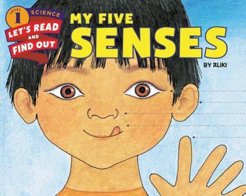 My Five Senses (Let’s-Read-and-Find-Out Science 1) – Paperback – VERY GOOD