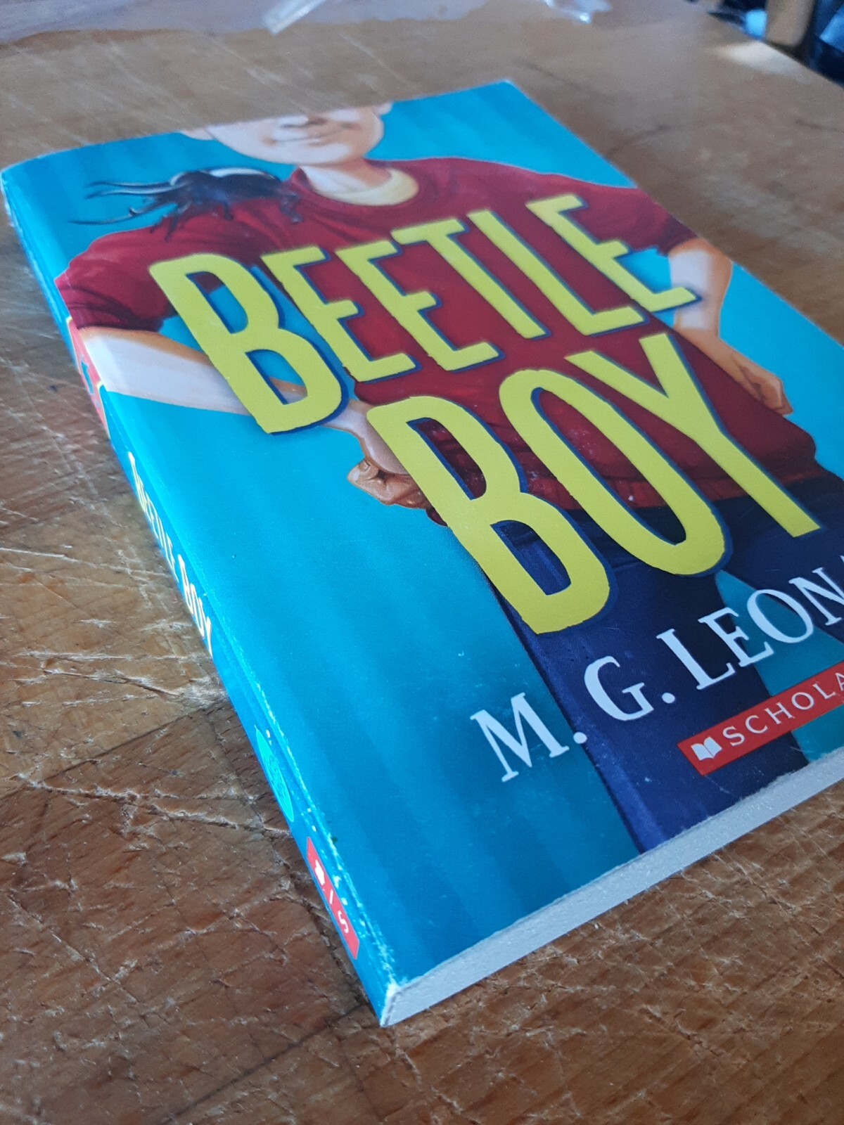 Beetle Boy by M. G. Leonard paperback scholastic