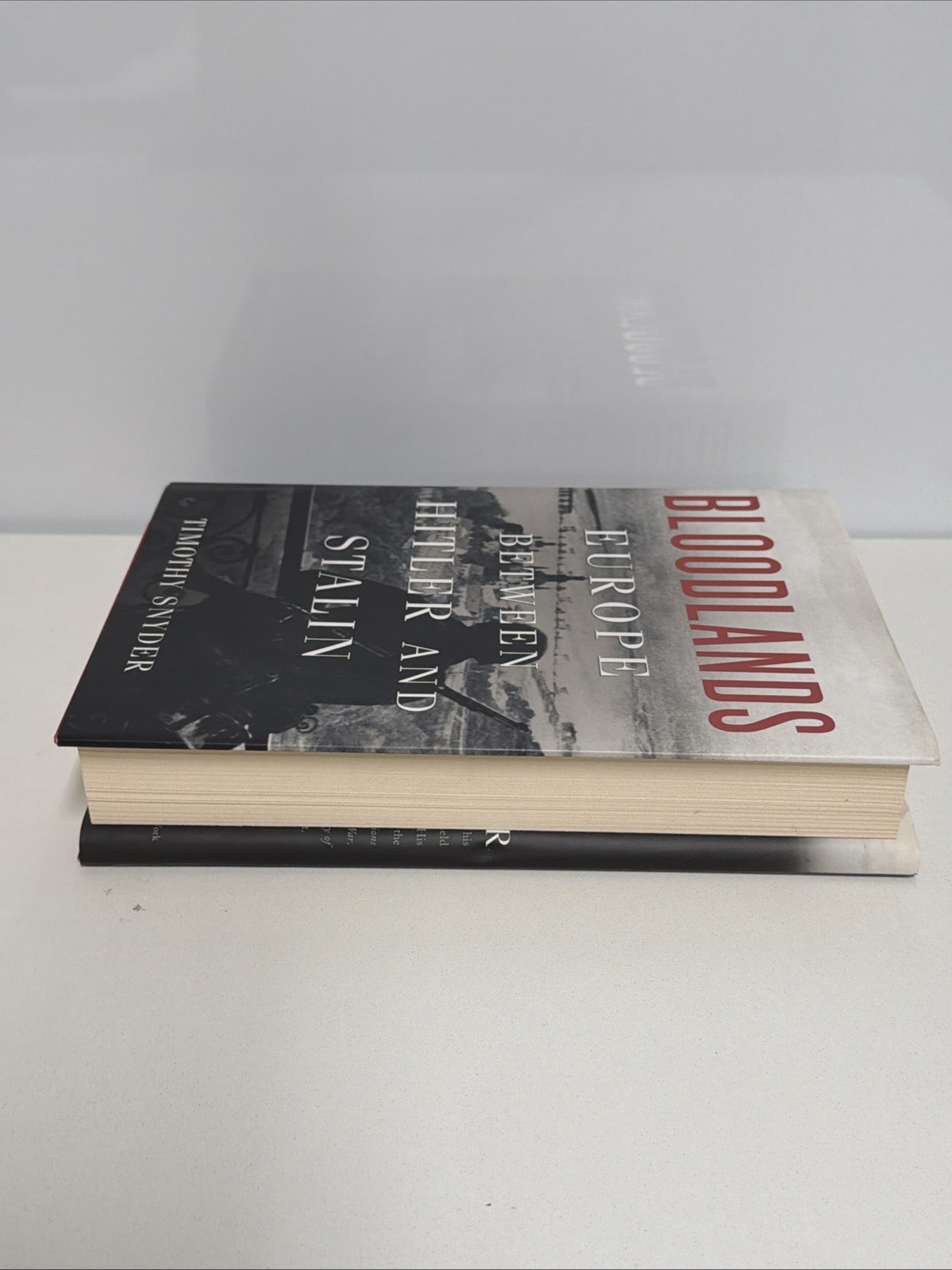 Bloodlands: Europe Between Hitler and Stalin Timothy Snyder HC 2022 WWII