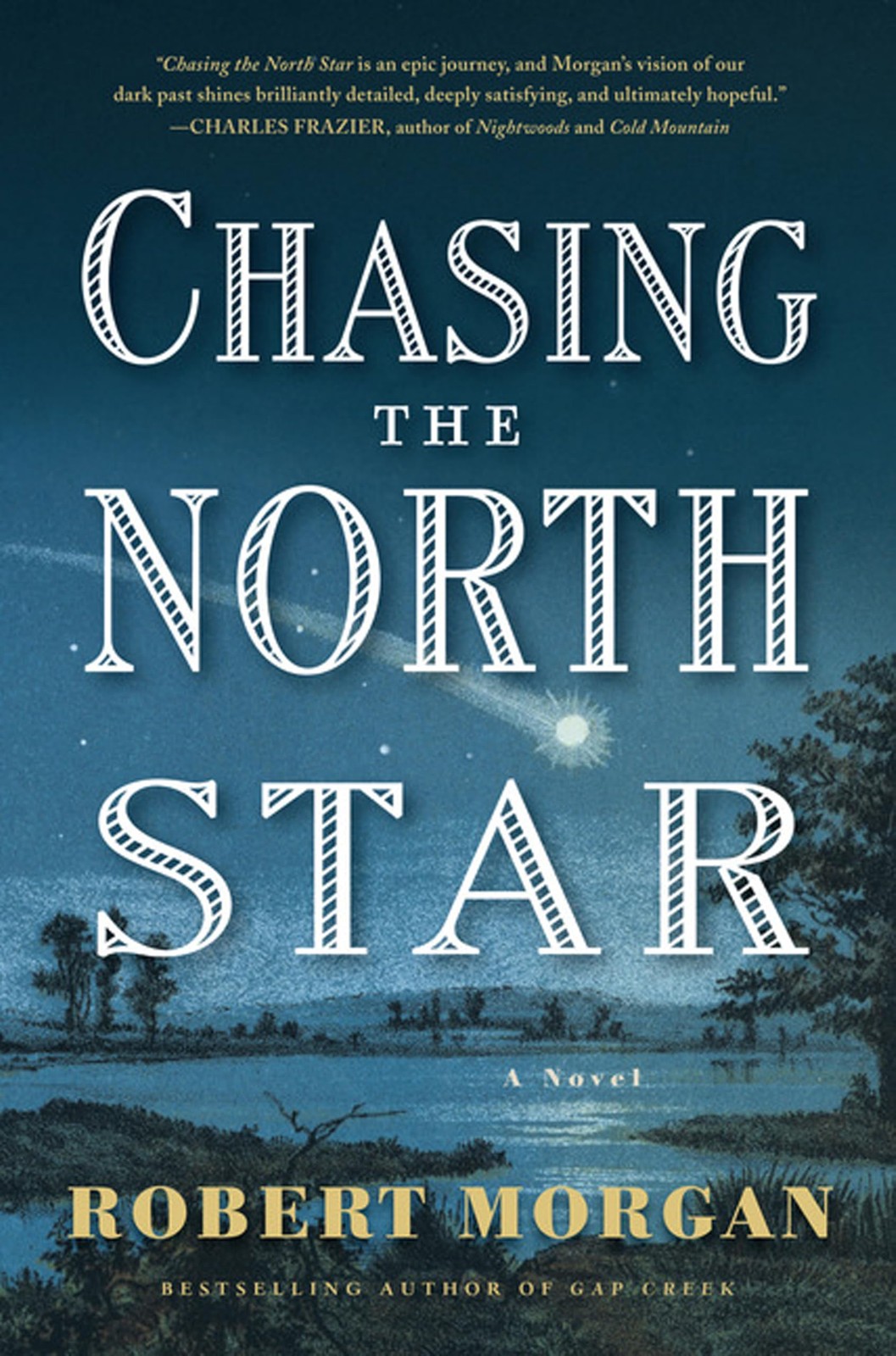 Chasing The North Star (Wheeler Hardcover)