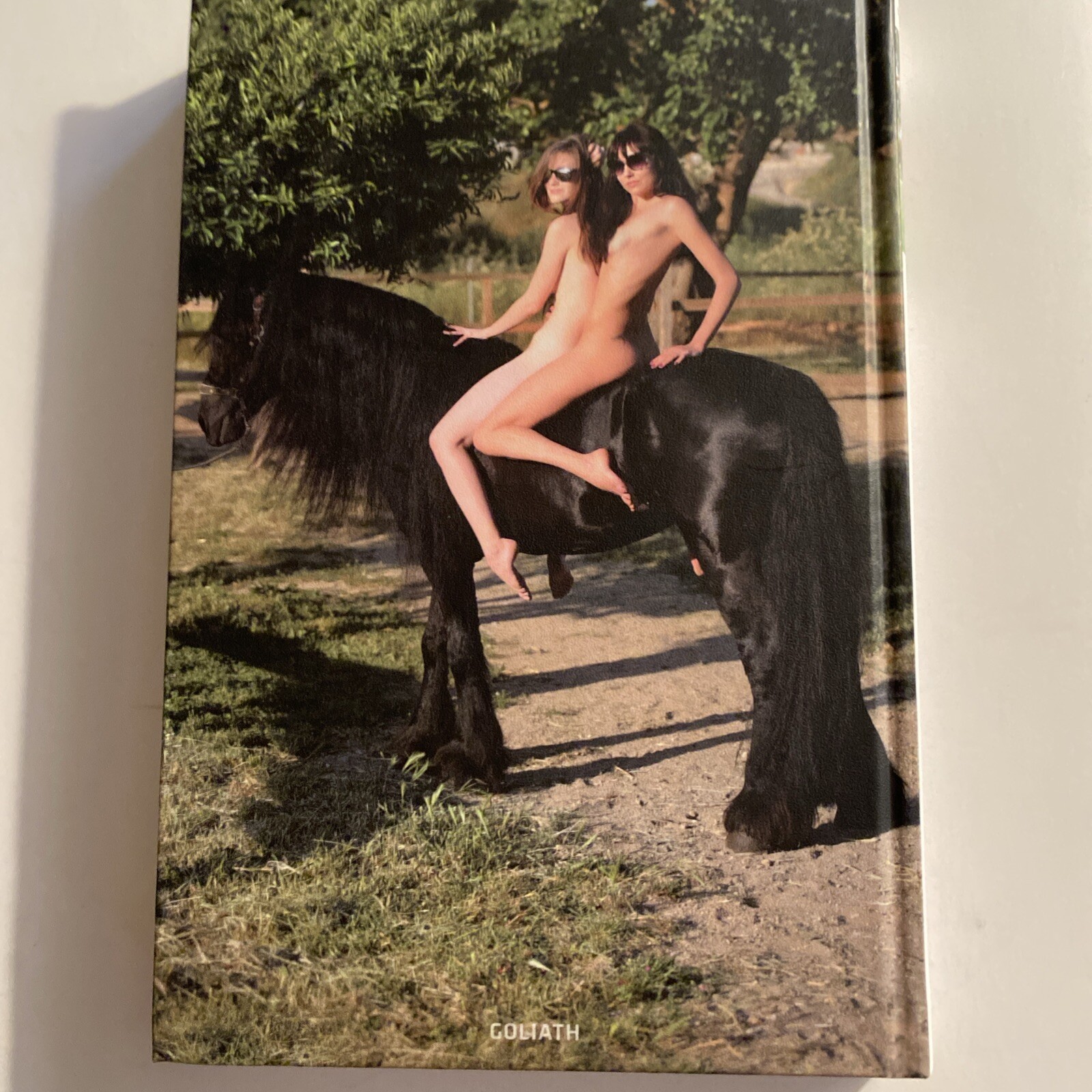 *Young Lesbian girlfriend’s* Mark Novak & Richard Lopez.Goliath.hardcover.OOP