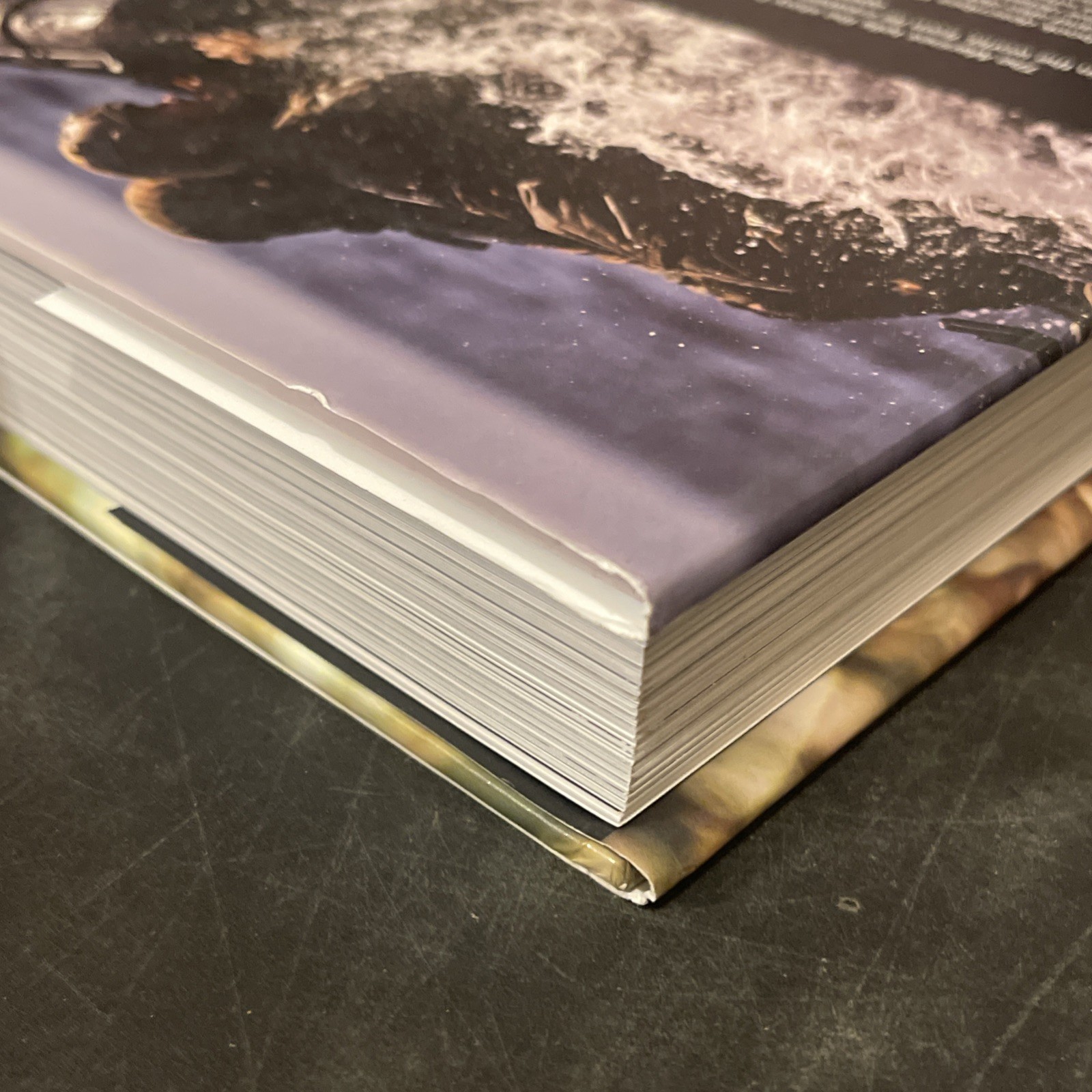 NEW – The Marines Hardcover Book – Chris McNab- Large (9.25×12) 384 Pages Unused