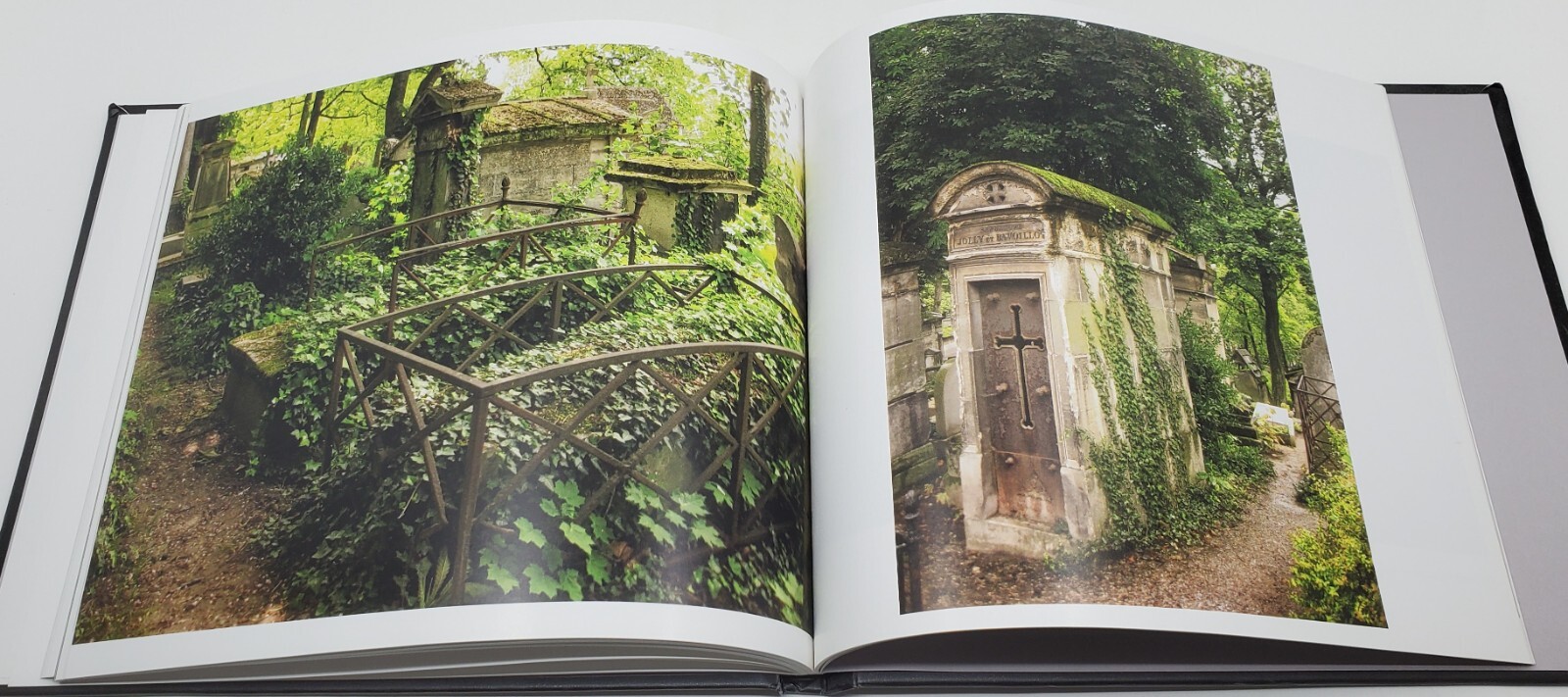 A Taphophile In Paris by Amber Maitrejean 2016 Edition Blurb