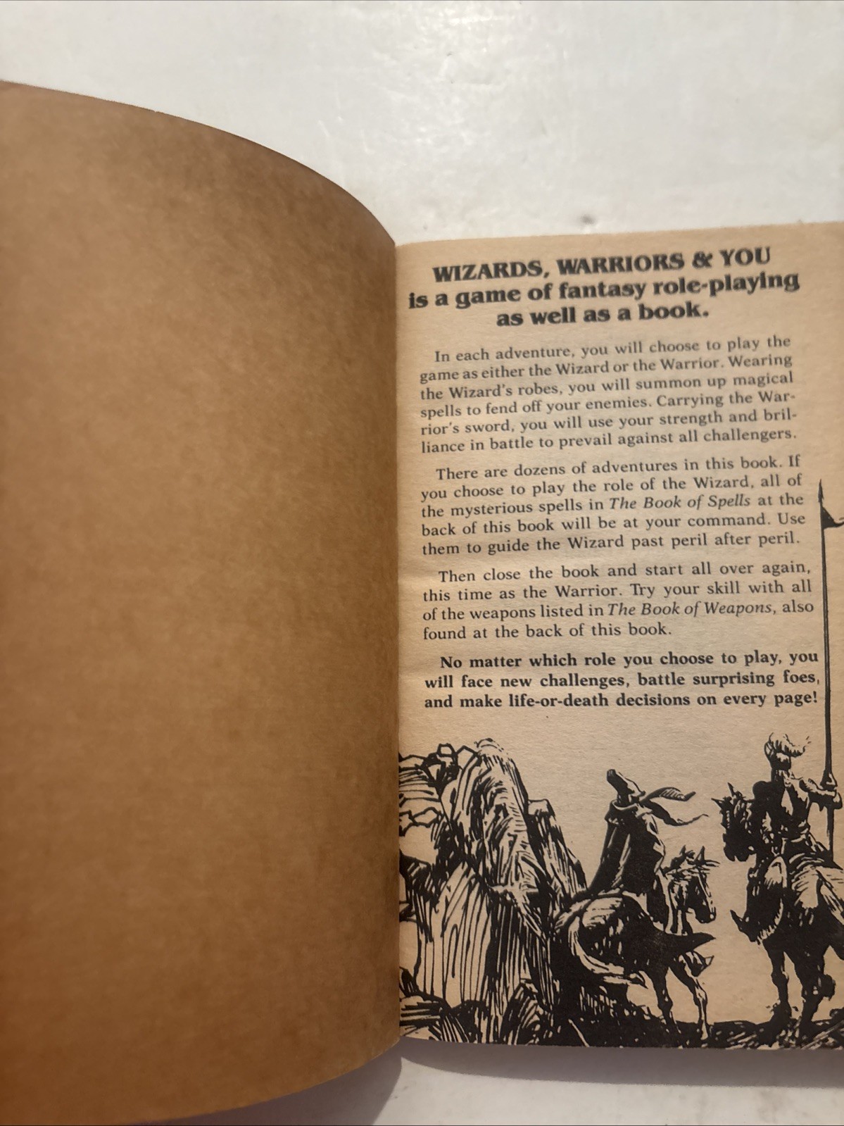 Wizards Warriors & You #6 Revenge of Falcon Knight by Scott Siegel CYOA 1985 1st