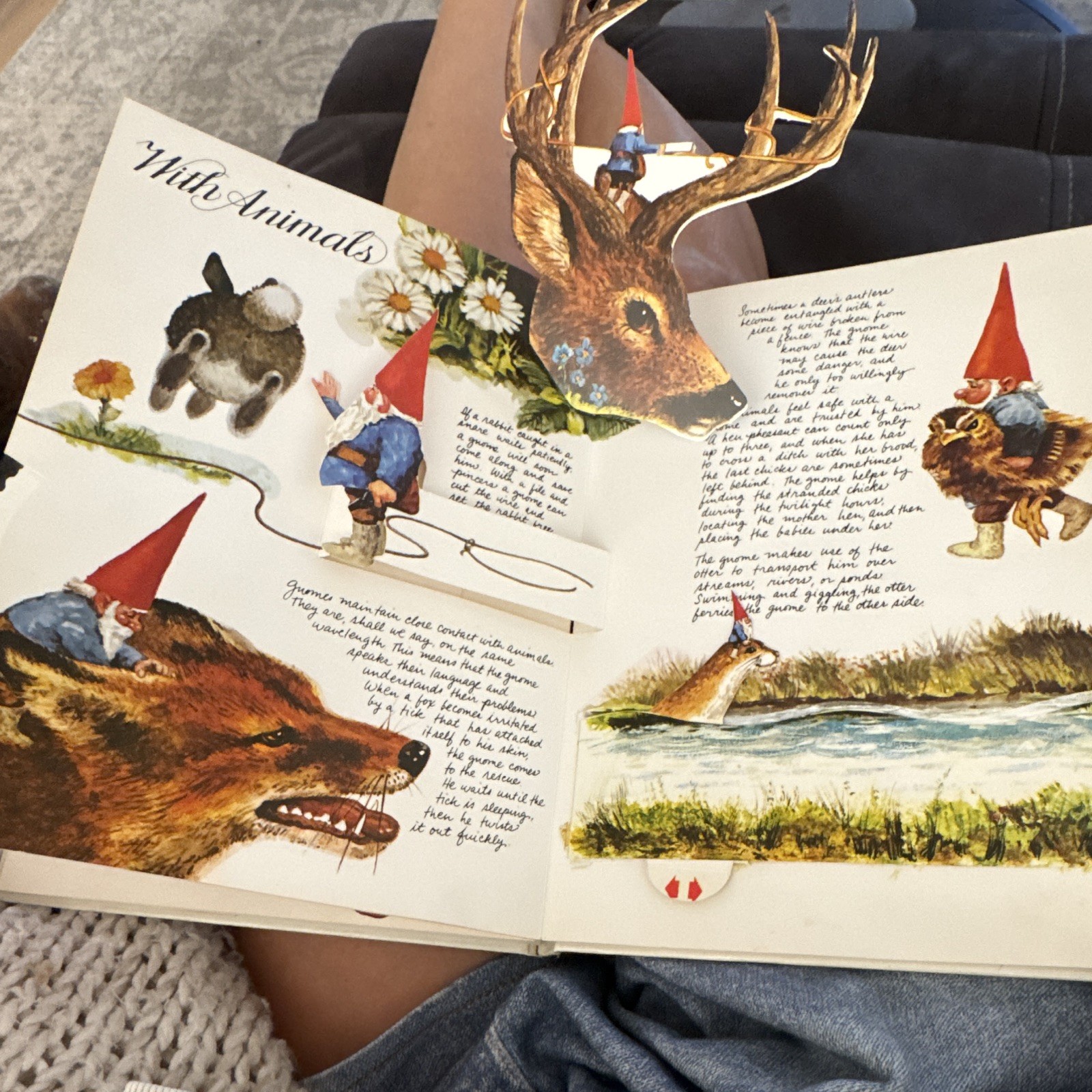 Harry N. Abrams The Pop-Up Book of Gnomes Pop-Up Illustrated Hardcover 1979