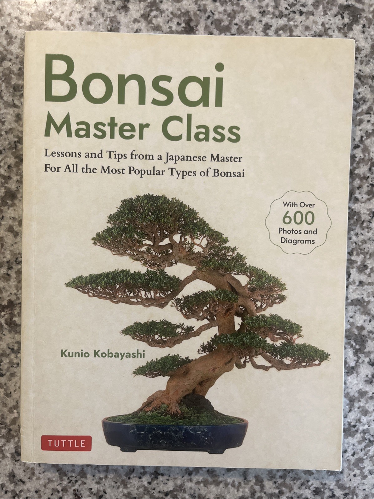 Bonsai Master Class: Lessons and Tips from a Japanese Master (with Over 600