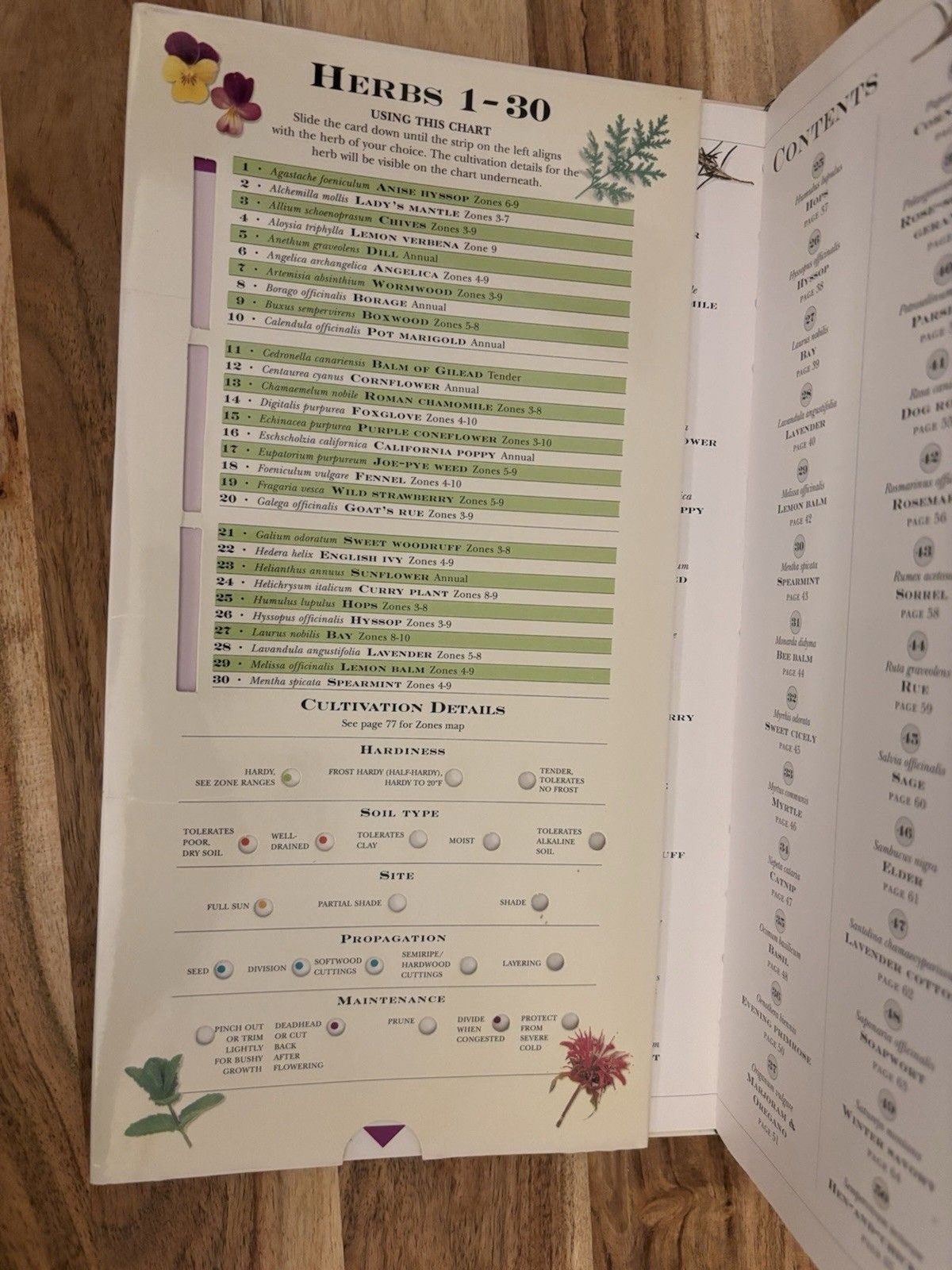 Vintage Gardening Book: Growing Herbs w/ Pull-Out Herb Chart 1995 By Deni Bown