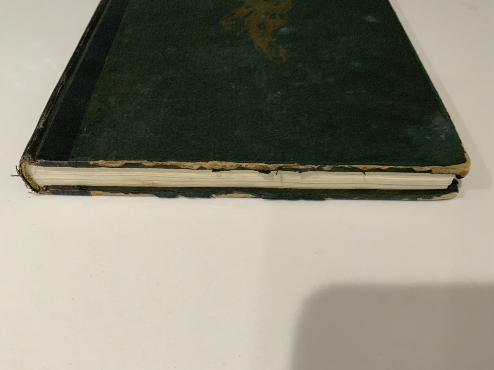 Constructive Anatomy – George B. Bridgman – 1928 – Hardcover – Anatomical Art