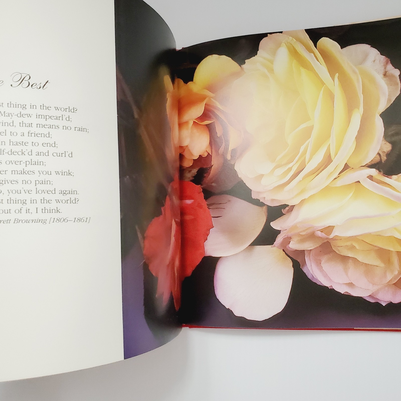 The Romantic Rose Hardcover Book Gift Flowers Gardening Plants