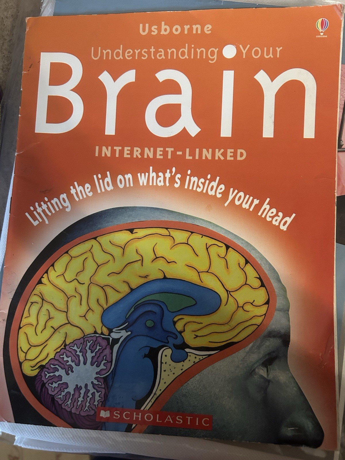 Understanding Your Brain Internet Linked by Rebecca Treays 439798043